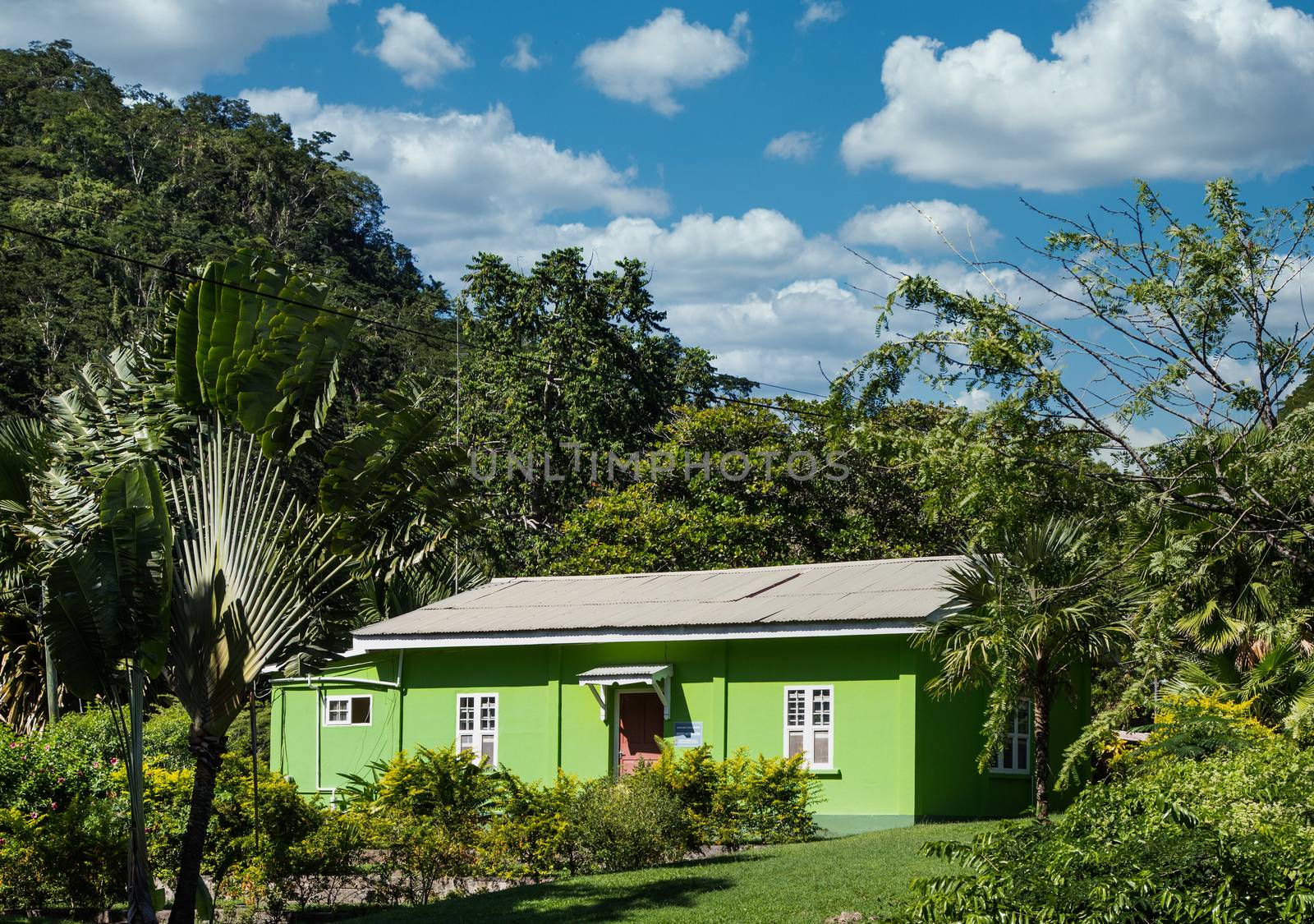 Green Bungalow in Tropical Paradise by dbvirago