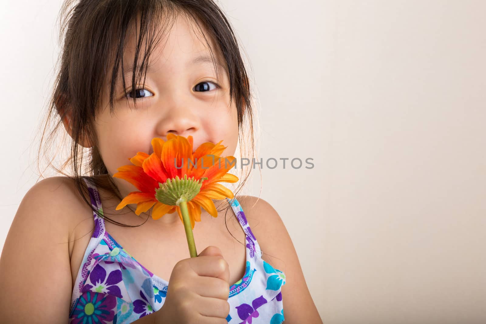 Child is holding sunflower in her hands background.