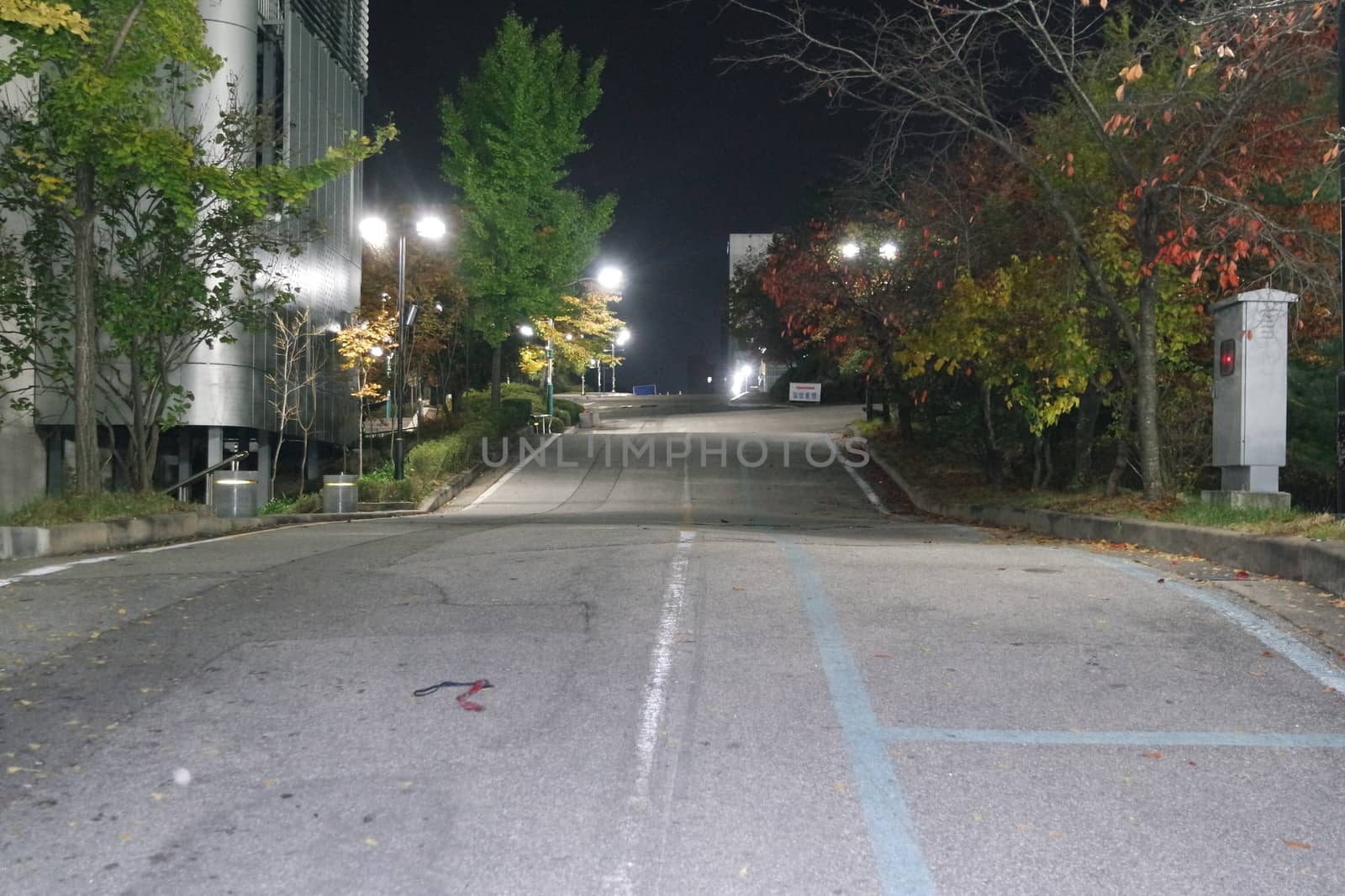 Night view of a paved pedestrian way or walk way with trees on sides by Photochowk