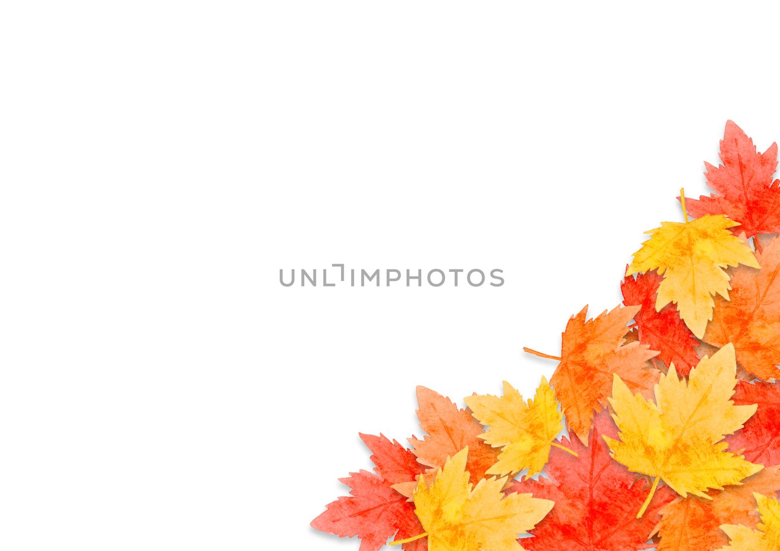 frame of red leaves in autumn concept  isolated on white background. Flat lay, top view, copy space.