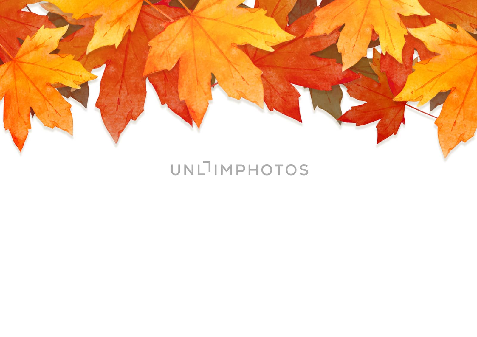 frame of red leaves in autumn concept  isolated on white background. Flat lay, top view, copy space. by Ungamrung