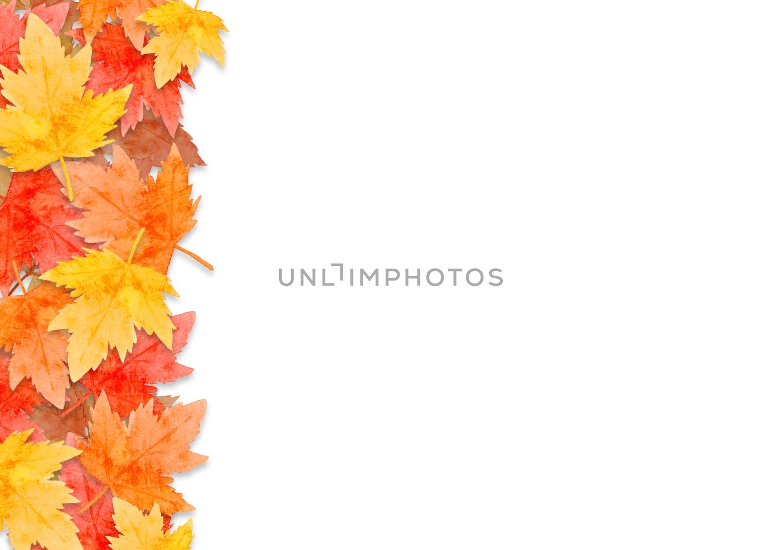 frame of red leaves in autumn forest concept  isolated on white background. Flat lay, top view, copy space. by Ungamrung