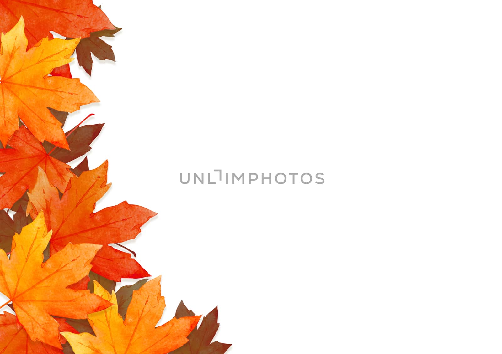 frame of red leaves in autumn forest concept isolated on white background. Flat lay, top view, copy space. by Ungamrung