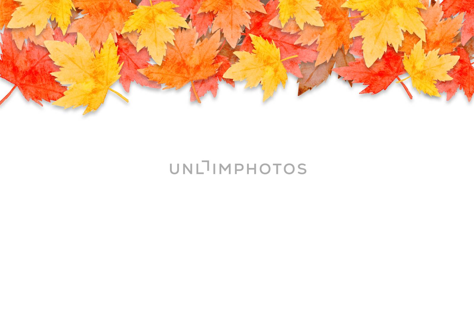 frame of red leaves in autumn forest concept isolated on white background. Flat lay, top view, copy space. by Ungamrung