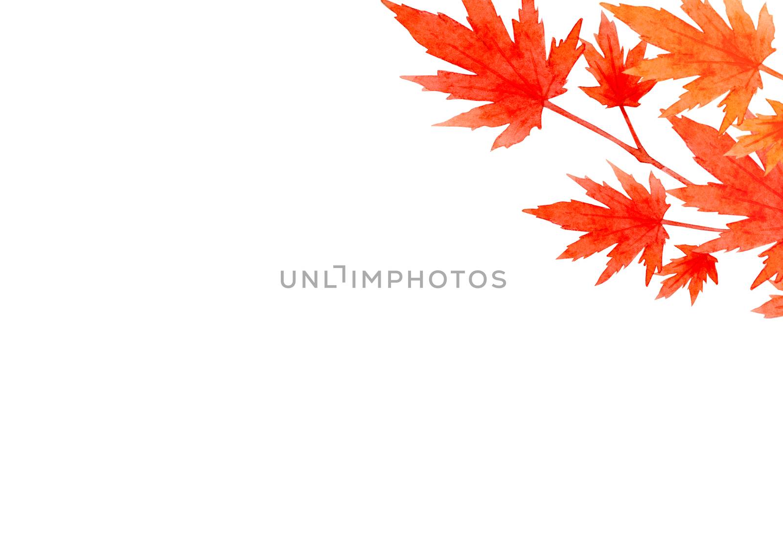 frame of red leaves in autumn concept  isolated on white background. Flat lay, top view, copy space. by Ungamrung