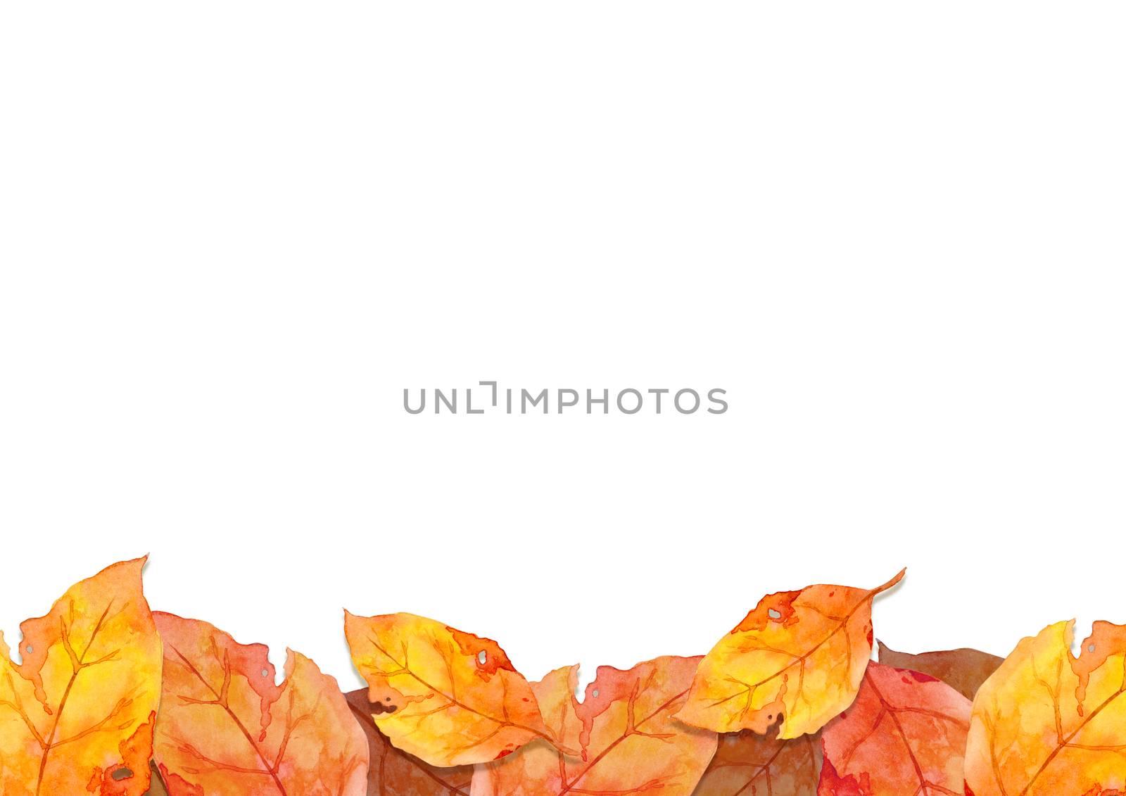 frame of red leaves in autumn forest concept isolated on white background. Flat lay, top view, copy space. by Ungamrung