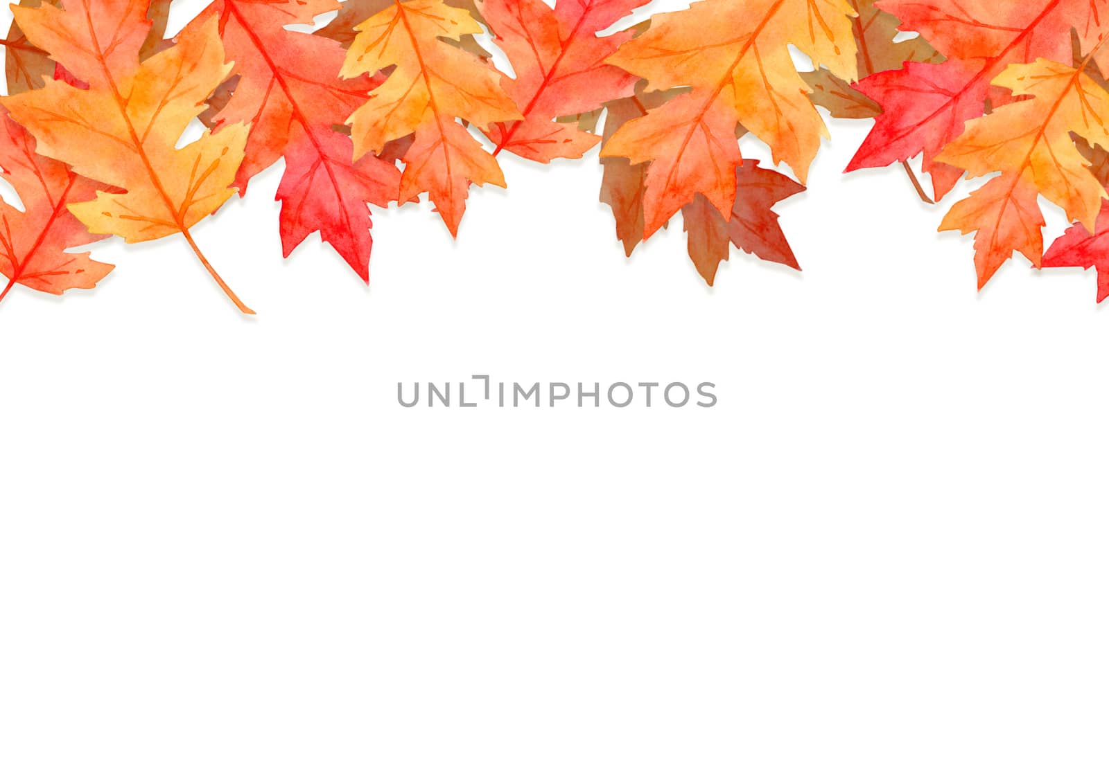 frame of red leaves in autumn forest concept isolated on white background. Flat lay, top view, copy space. by Ungamrung