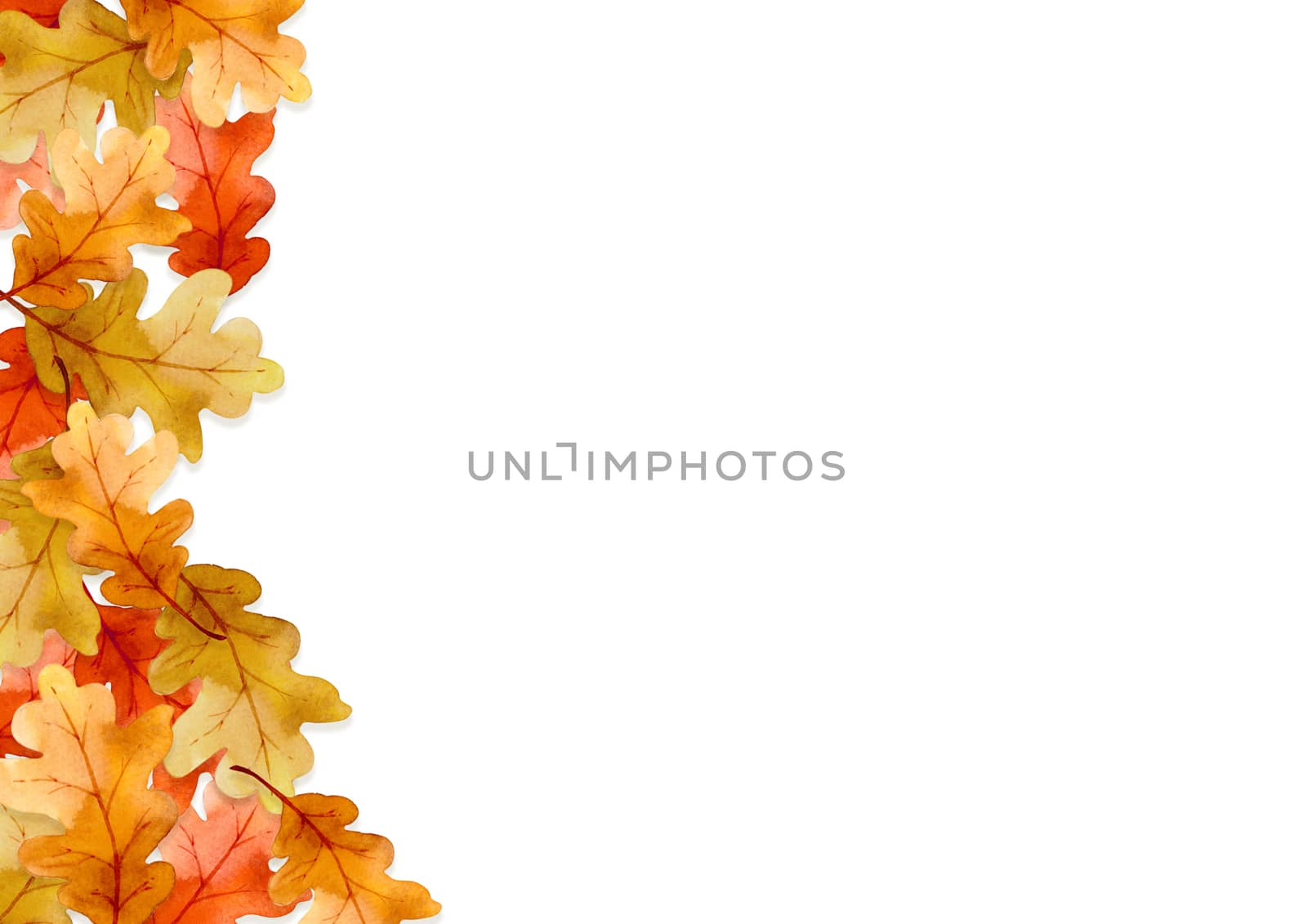 frame of leaves in autumn concept  isolated on white background. Flat lay, top view, copy space.