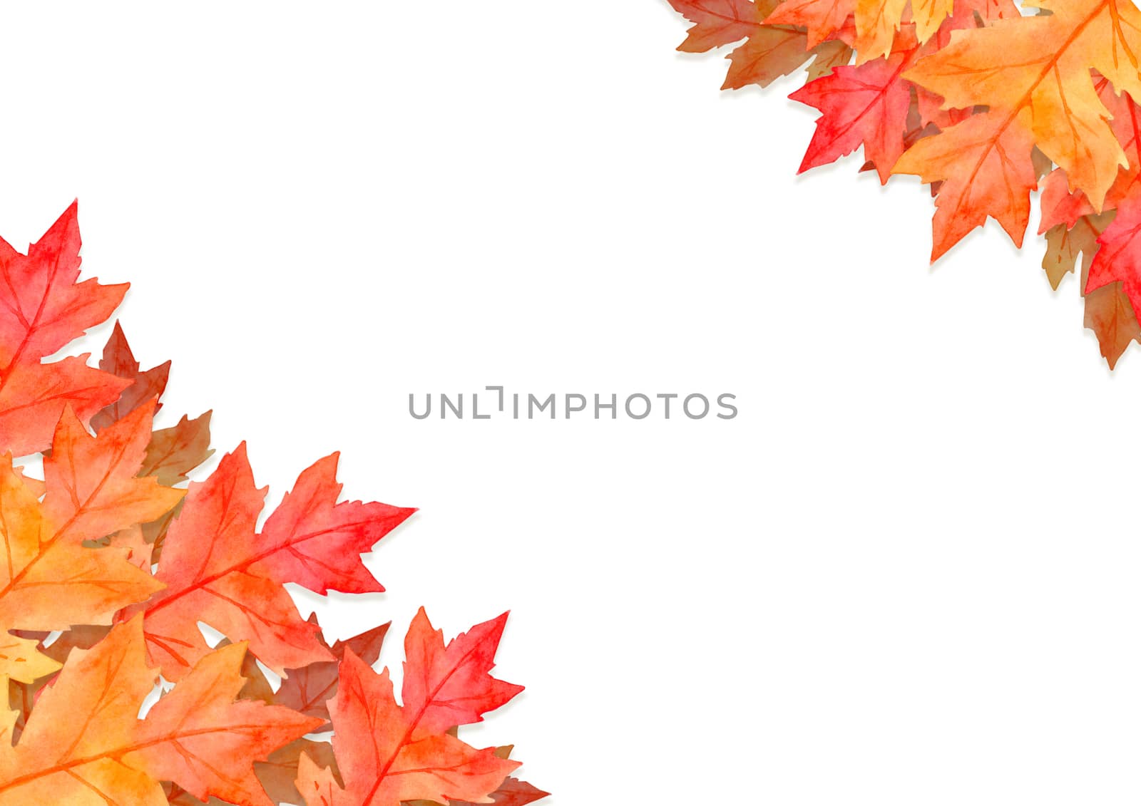 frame of red leaves in autumn concept isolated on white background. Flat lay, top view, copy space. by Ungamrung