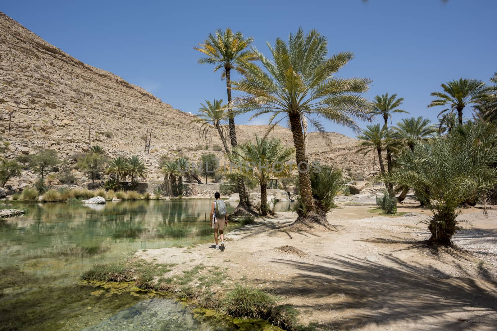 Woman (tourist) walking near the main pool  of the famous Wadi Bani Khalid in the Sultanate of Oman