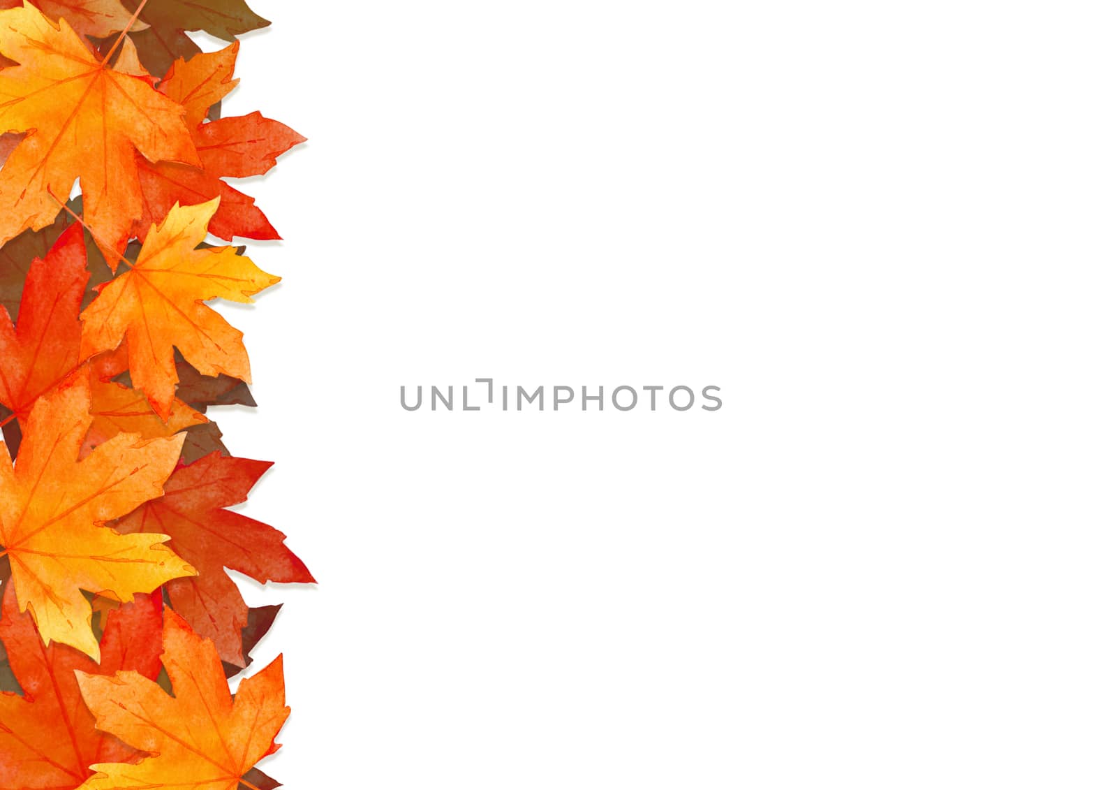 frame of red leaves in autumn concept  isolated on white background. Flat lay, top view, copy space.