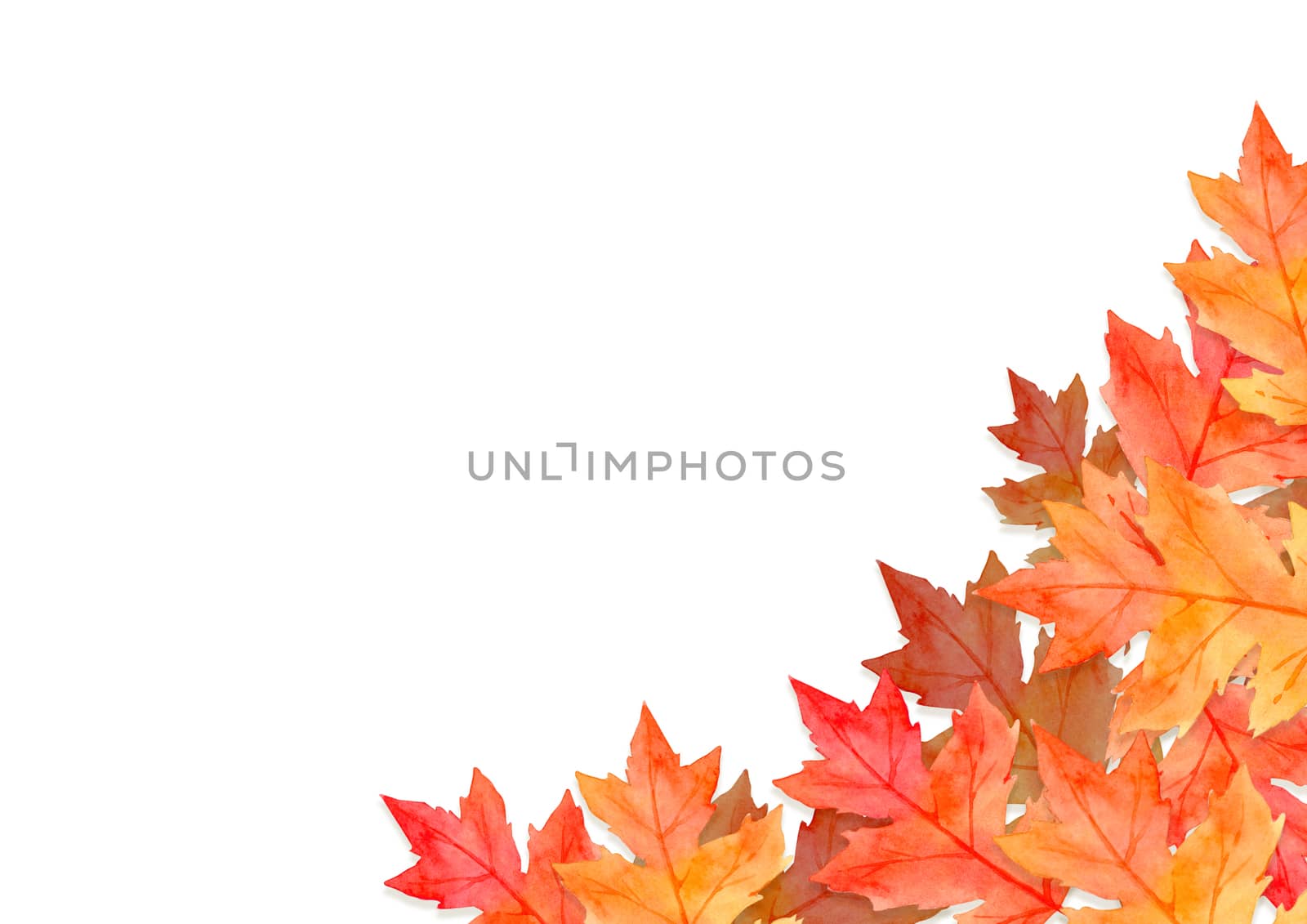 frame of red leaves in autumn concept isolated on white background. Flat lay, top view, copy space. by Ungamrung