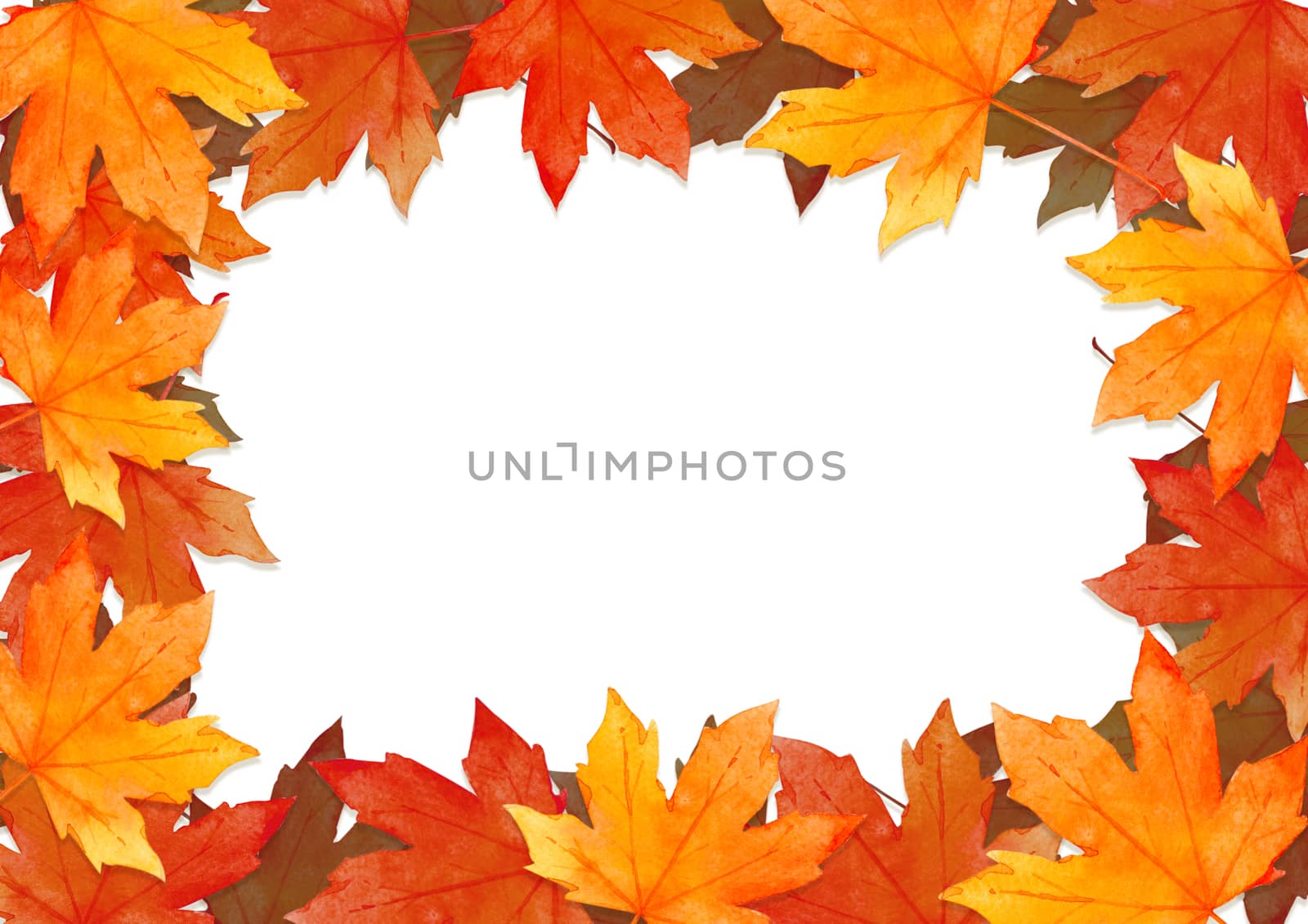 frame of red leaves in autumn concept  isolated on white background. Flat lay, top view, copy space.