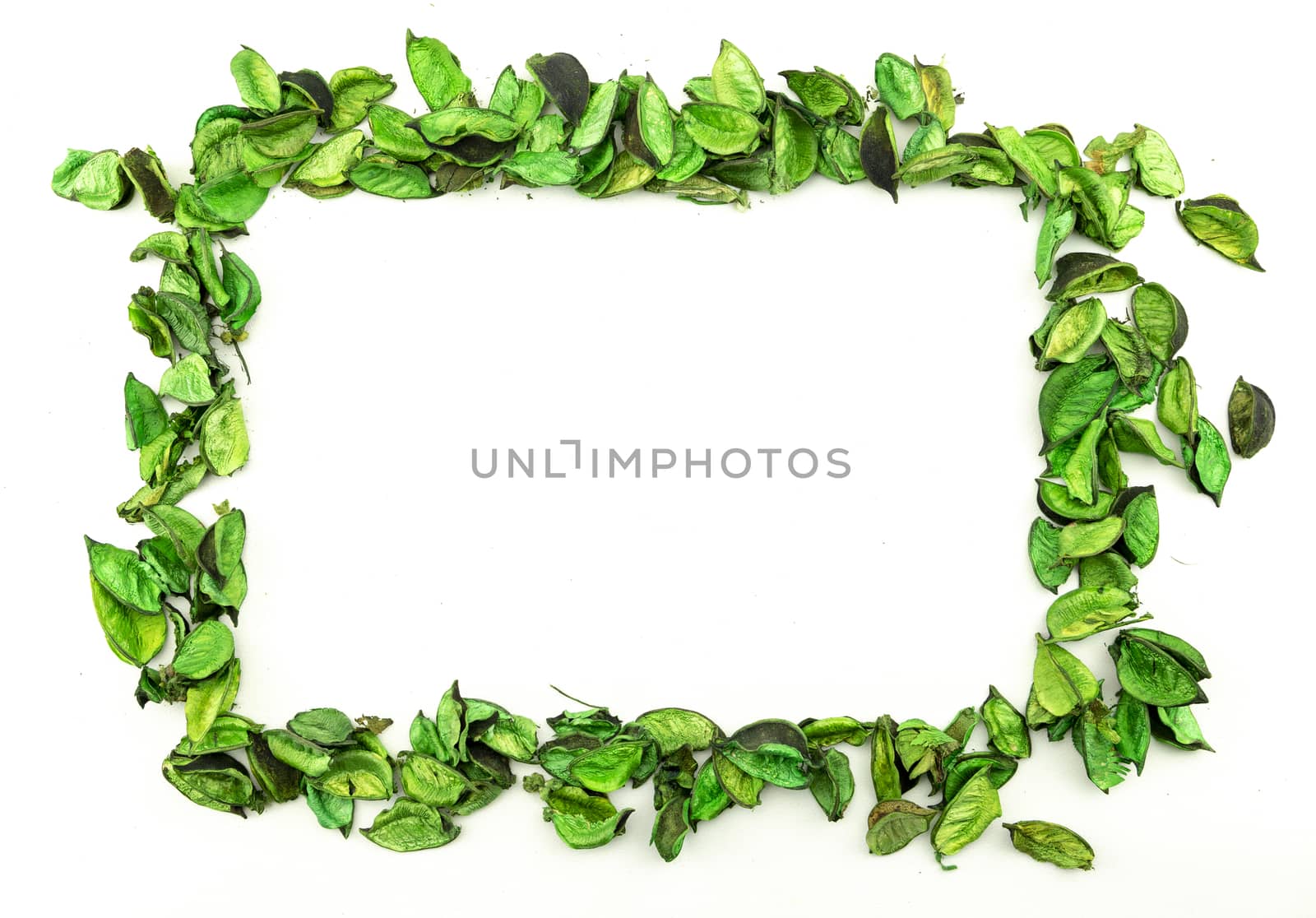 Frame copy space composition formed by potpourri of dried green flowers on a white background