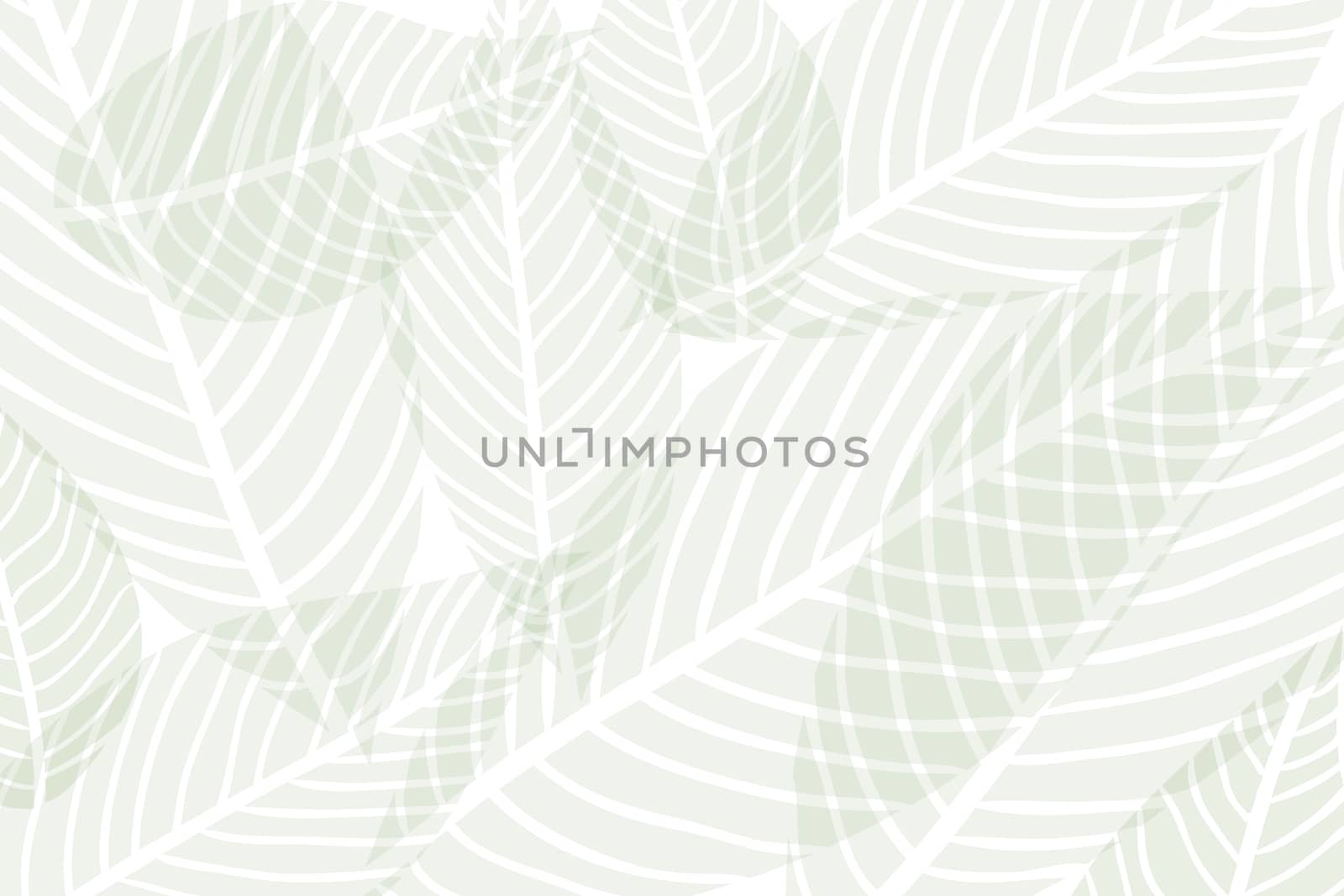 Vector composition of green alpha transparent stylized leaves on a white background by robbyfontanesi