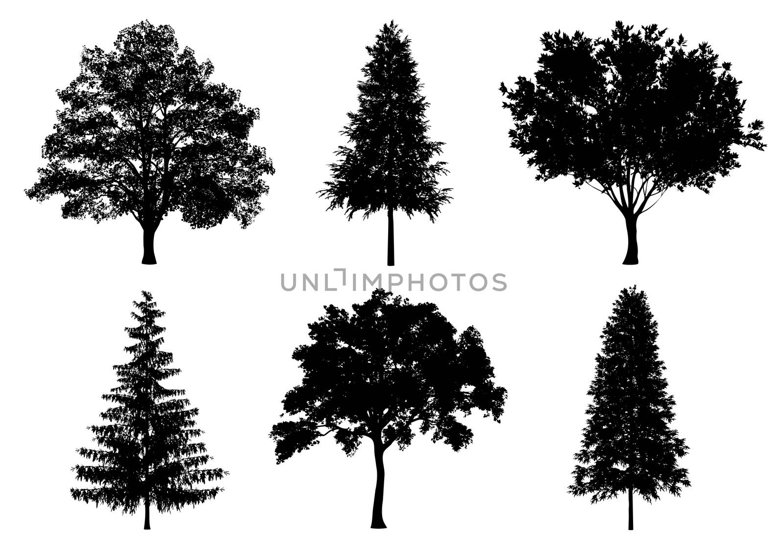 Beautiful collection tree silhouettes and cutting on a white background with clipping path.