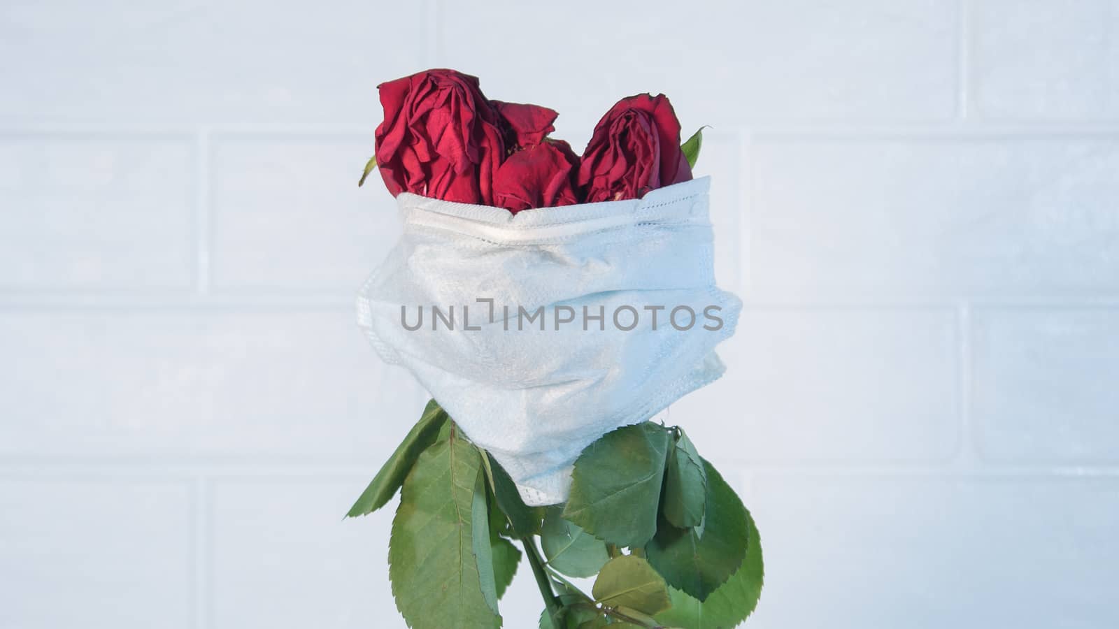 Three wilted roses in a medical mask as a symbol of the covid pandemic.Flowers are quarantined in a protective mask against viruses,colds and flu.Preventing the development of an outbreak of infection