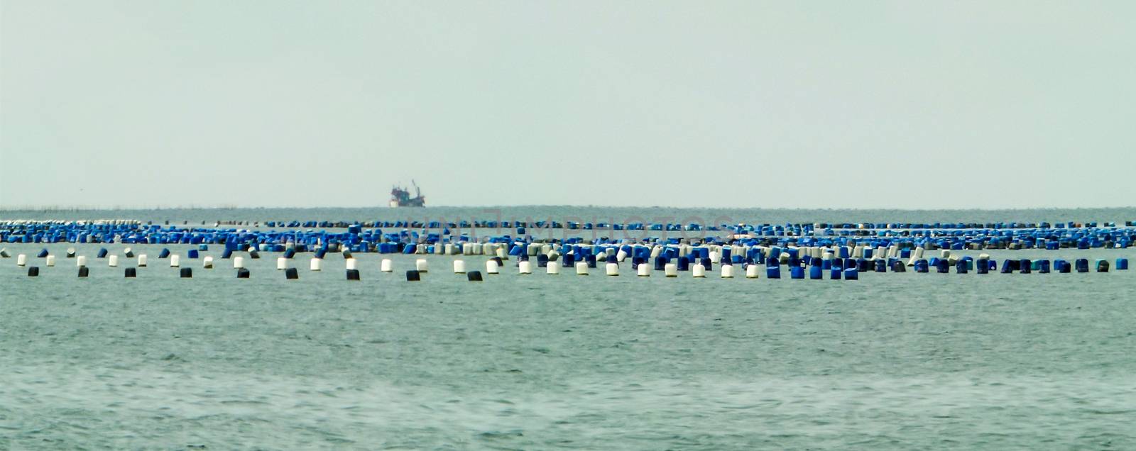 oysters farm on plastic tank buoy in the sea panorama at sriracha thailand