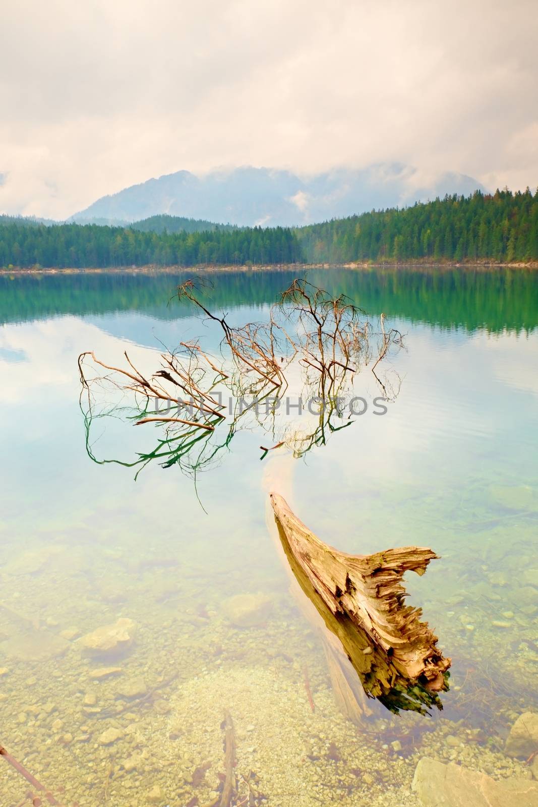 Mountain  lake before sunset. Wet sand beach with tree fallen into water. Stormy cloudy sky bove  blue mountains at horizon.  Poor lighting conditions.