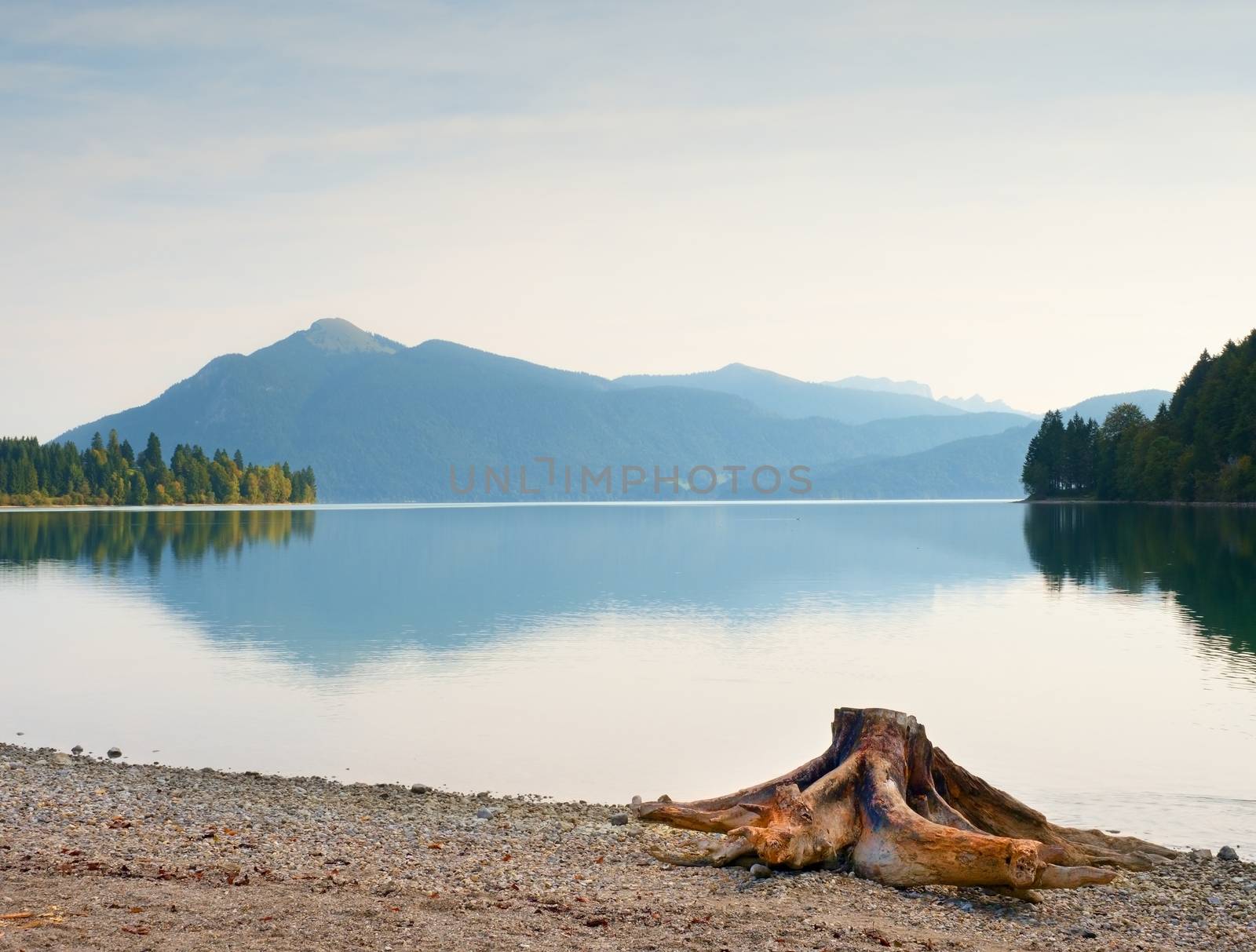 Evening shore of Alps lake. Beach with dead tree stump. by rdonar2