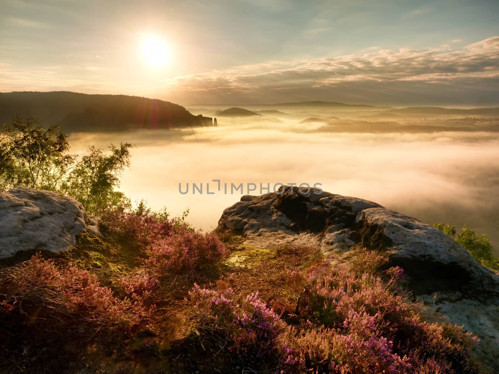 View into deep misty valley over tufts of heather. Hill peaks in  creamy fog by rdonar2
