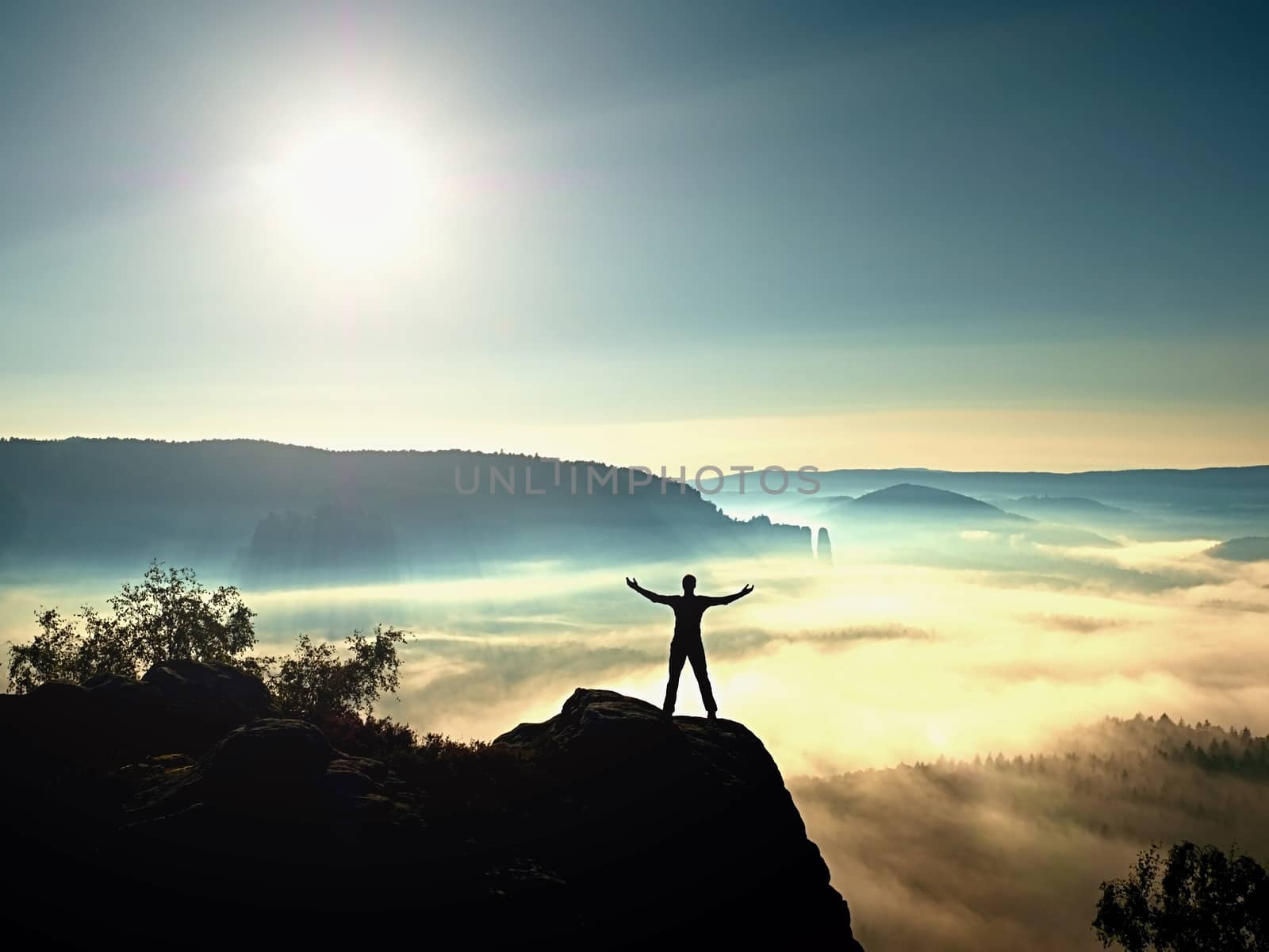 Happy man gesture of triumph with hands in the air. Funny hiker with raised arms on peak of sandstone rock in national park. Vivid and strong vignetting effect.