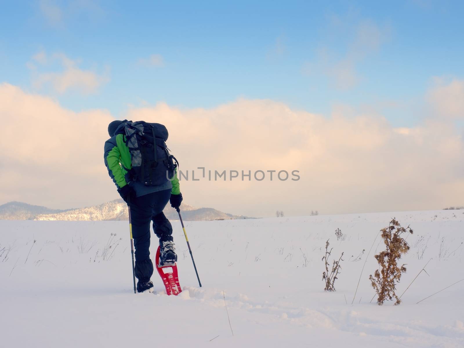 Tourist checking  snowshoe. Hiker with  winter jacket and big backpack walk in snow by rdonar2