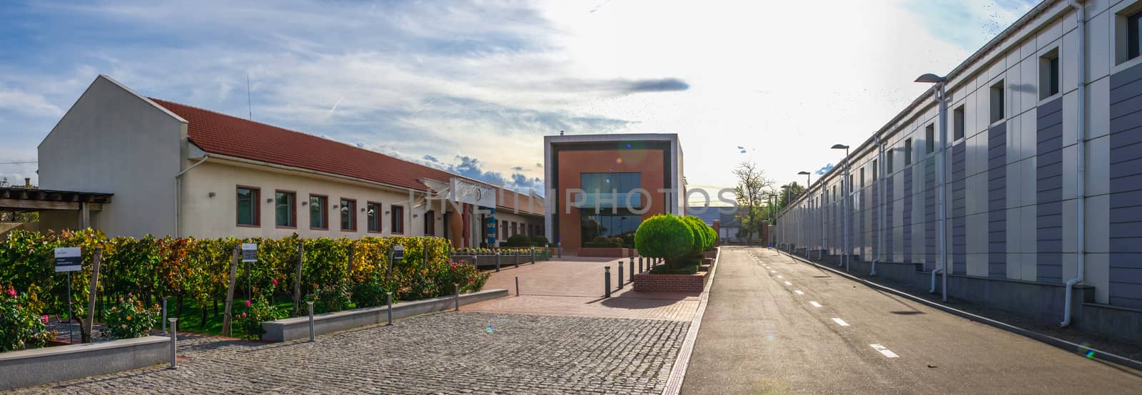 Wine Culture Center and Winery in Shabo, Ukraine by Multipedia