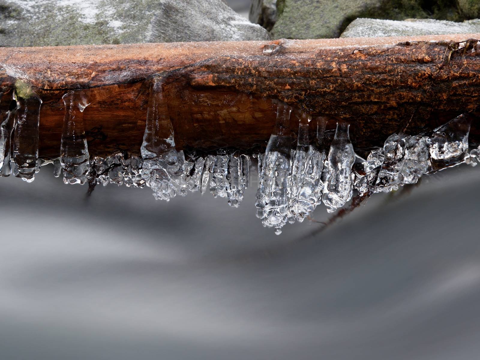 Icy branches above  chilling stream. Bright reflections in icicles, blur white foam on water level. Icy art