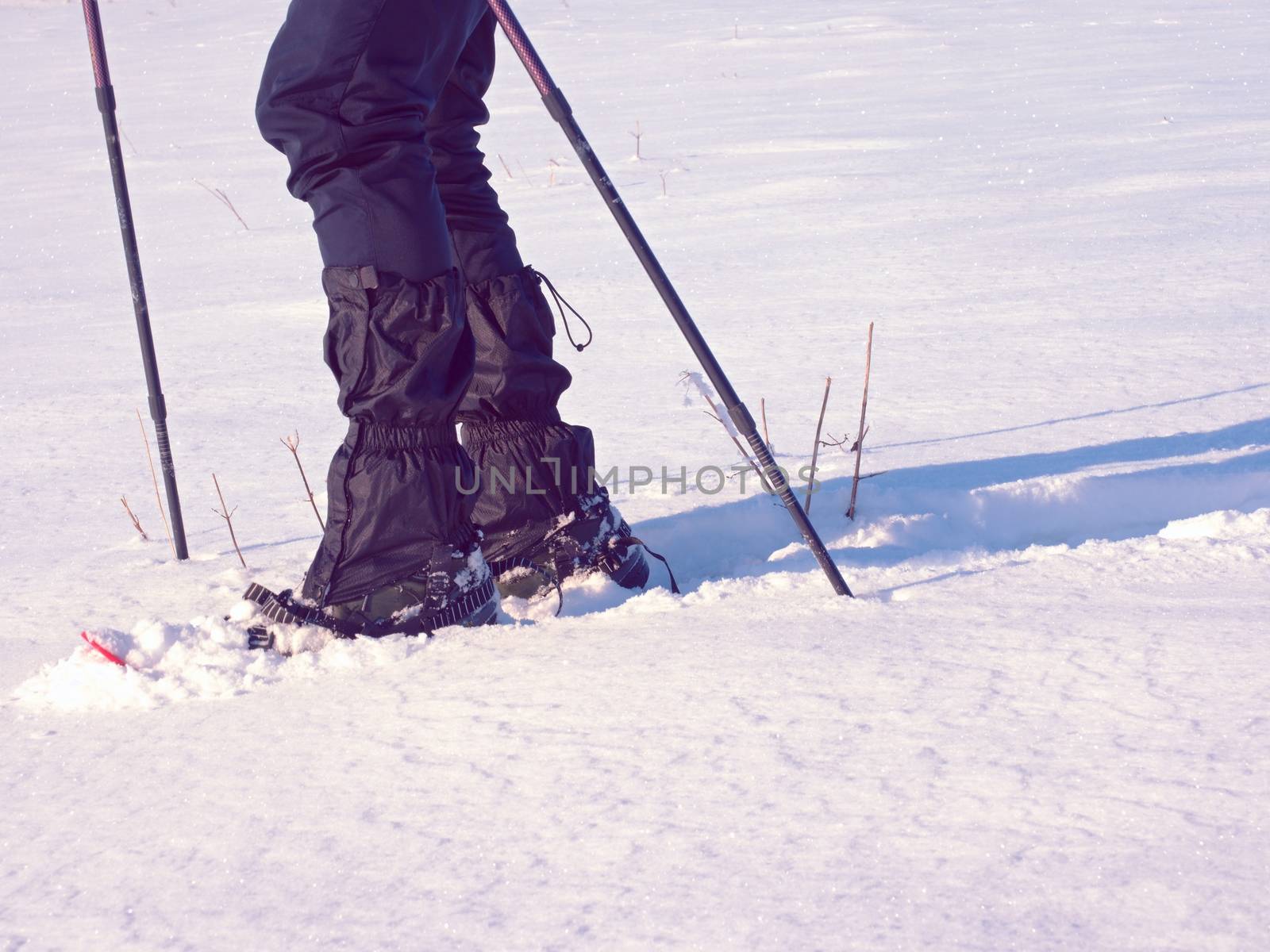 Man legs with snowshoes walk in snow. Detail of winter hike in snowdrift by rdonar2