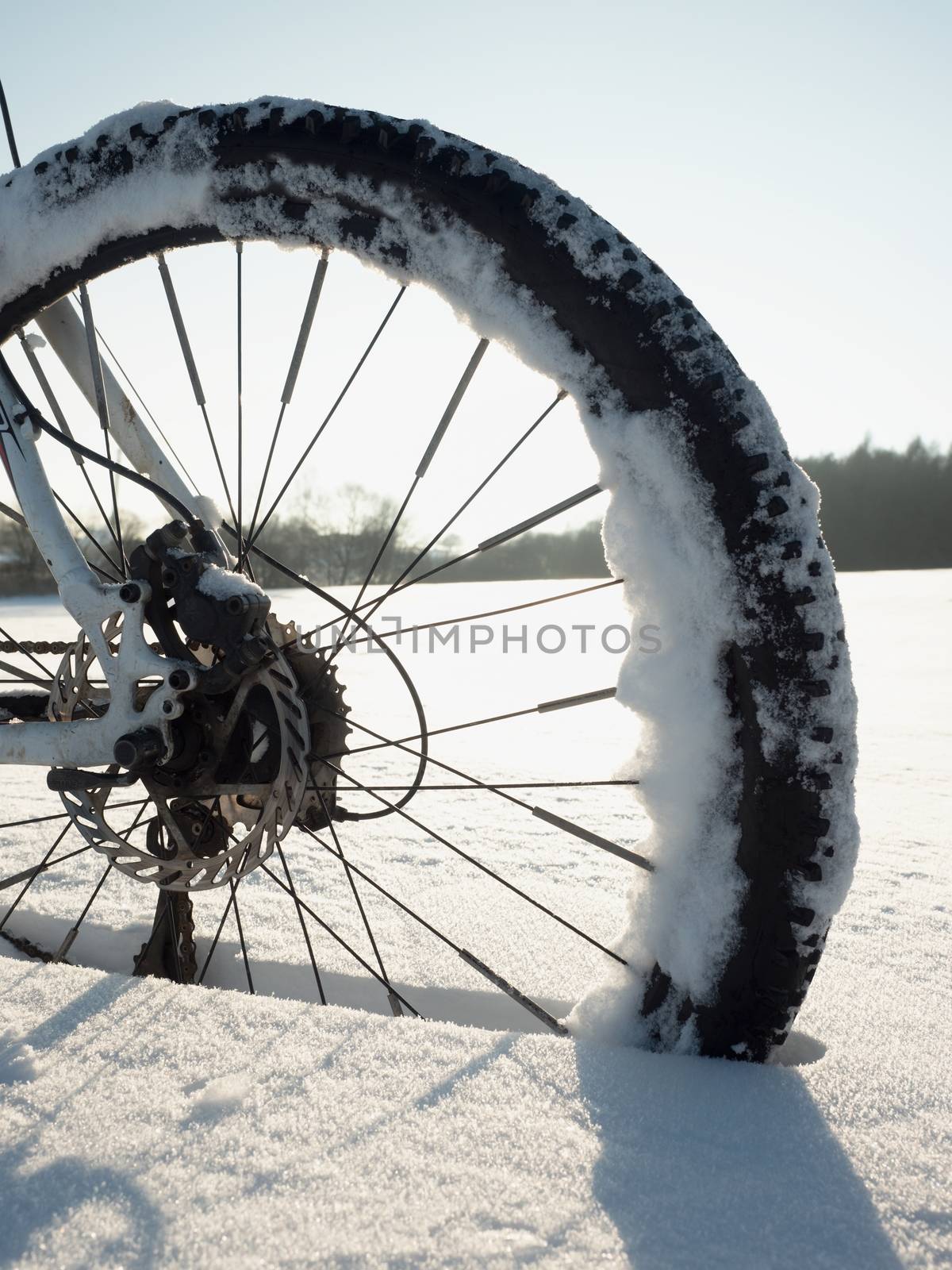 Mountain bike stay in powder snow.  Snow flakes melting on dark off road tyre. by rdonar2