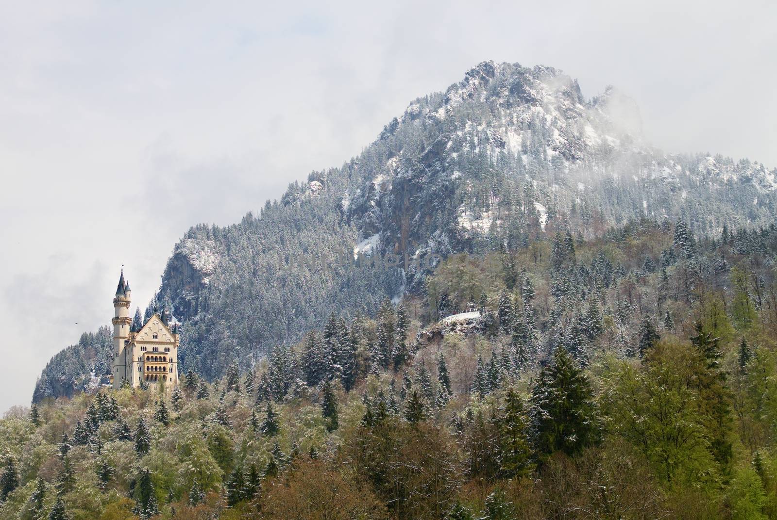Castle in mountais, rocks and forest covered fresh snow by rdonar2