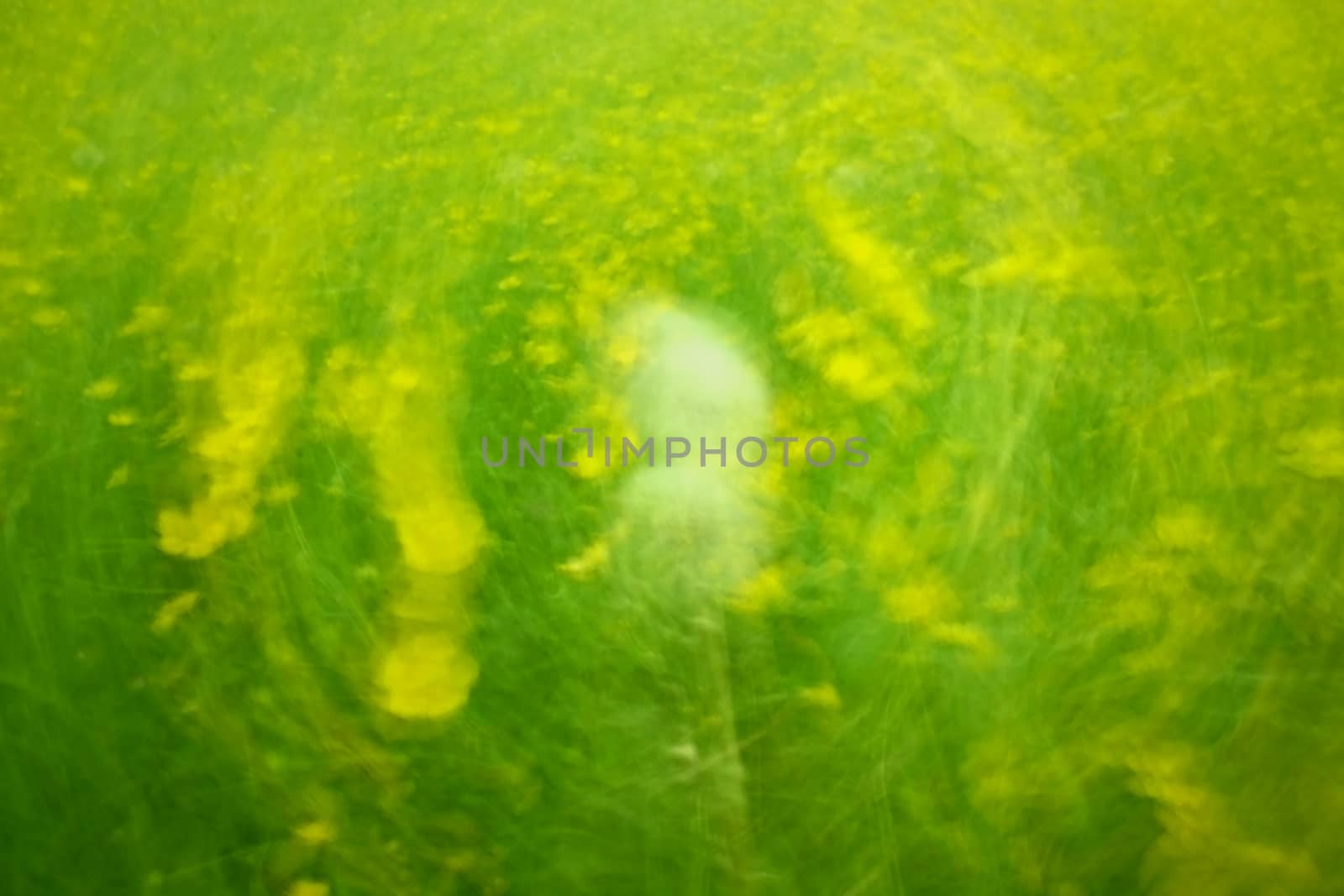Defocused flowers and grass in circle background. Blurred and de focused yellow blossom and green grass stalks. Hypnotic blurry effect.