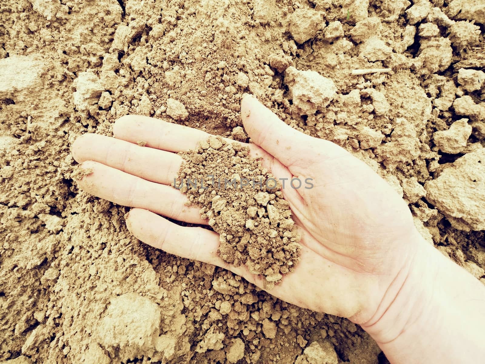 Pink skin hand looking for something in wet brown clay in the field. Dusty palm, dust between fingers, dirty nails. 