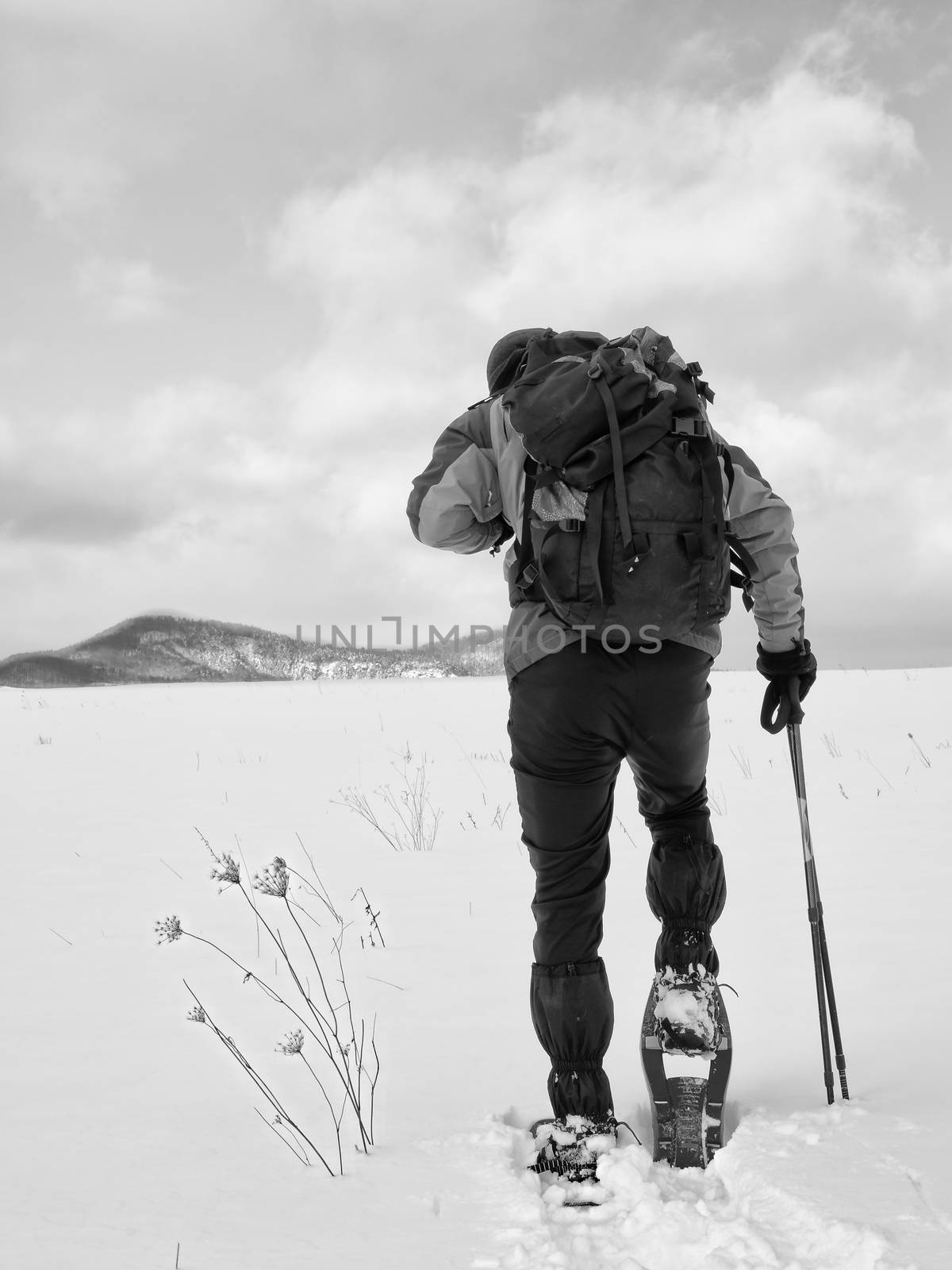 Tourist checking  snowshoe. Hiker with  winter jacket and big backpack walk in snow by rdonar2