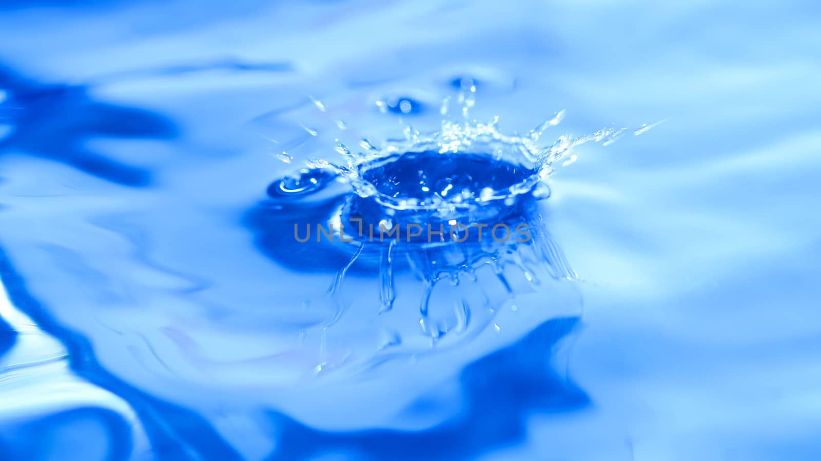 beautiful water drip in blue background