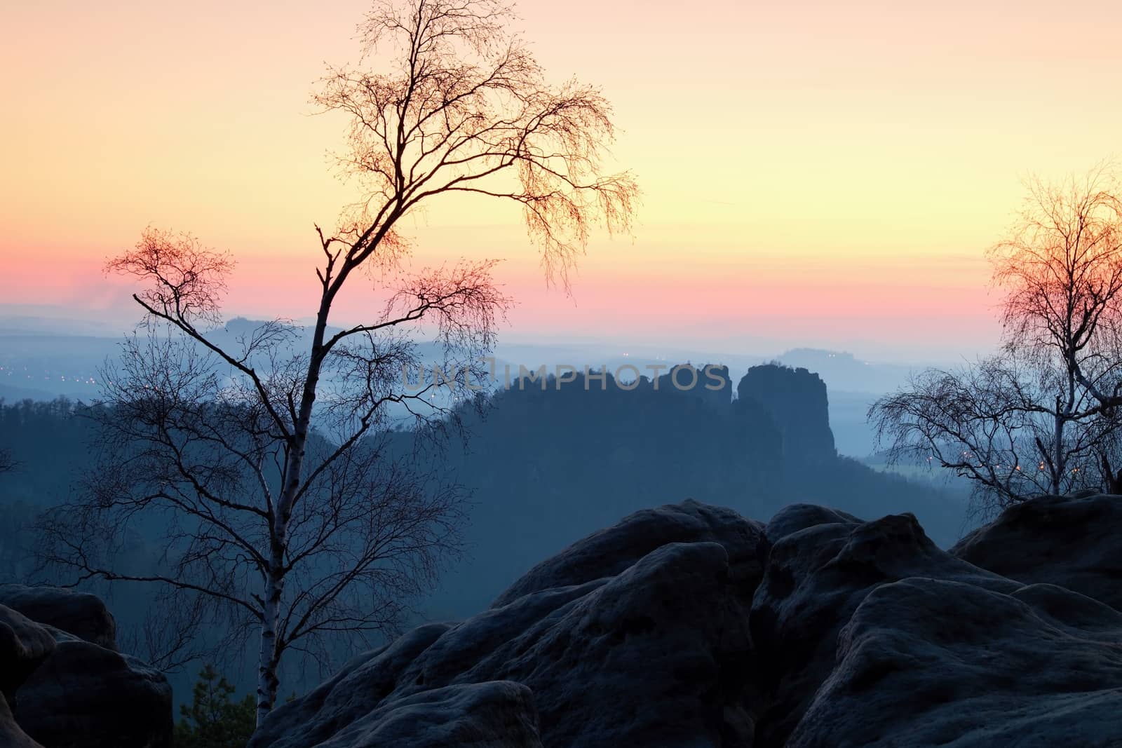 Deep misty valley within sunset. Foggy and misty moment on sandstone view point in national park Saxony Switzerland in Germany.