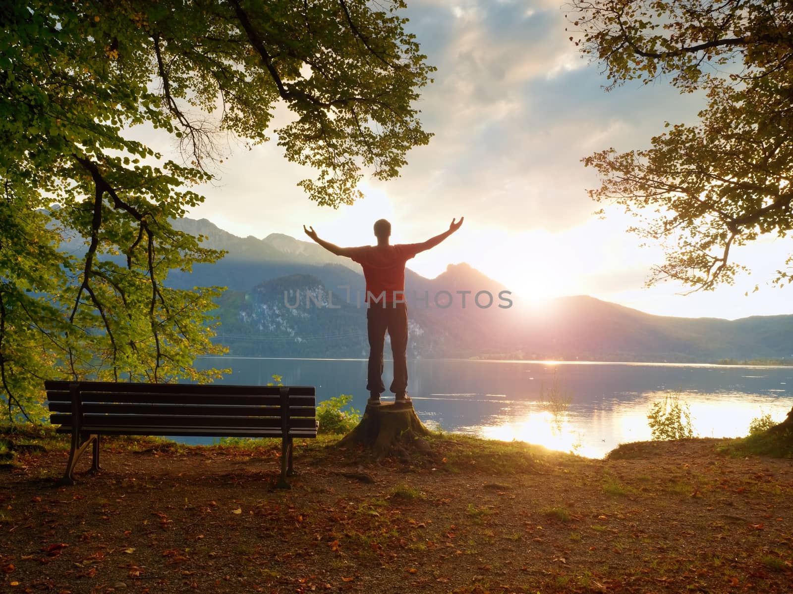 Happy man with rised arms in red t-shirt and black trousers stand on tree stump. Empty wooden bench at mountain lake. Bank under beeches tree, mountains at horizon and in water mirror