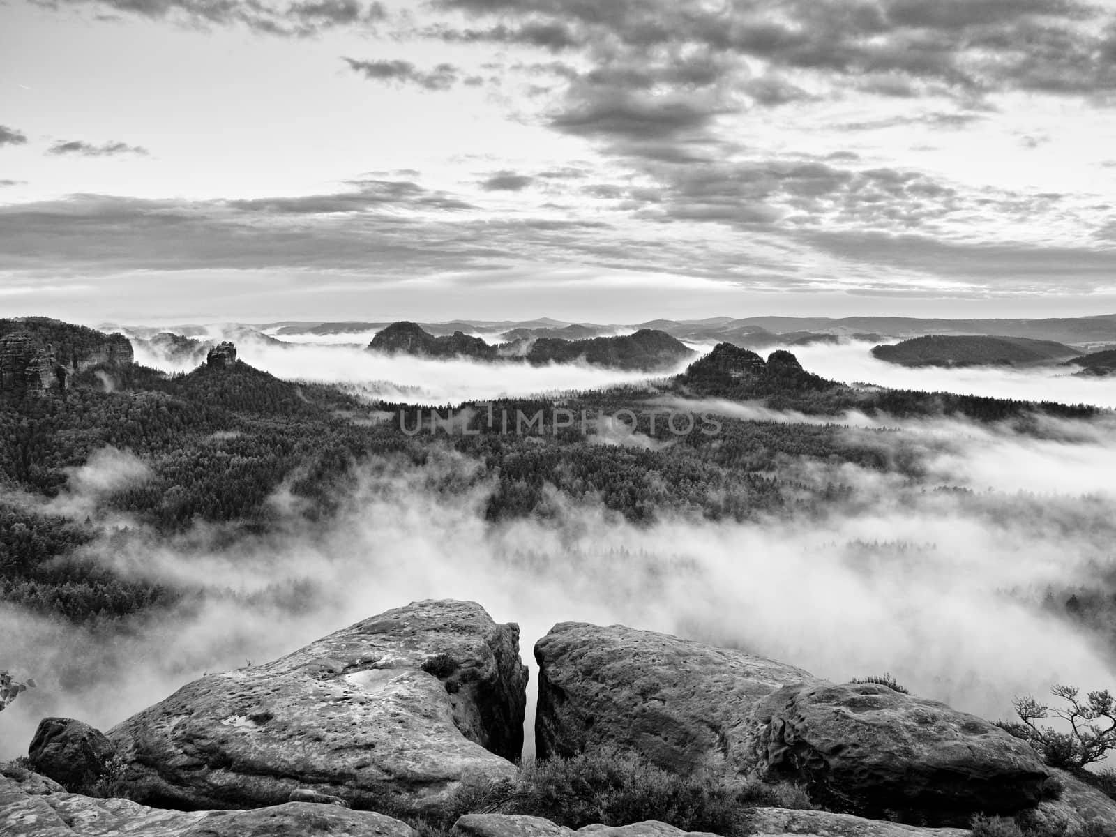 Misty morning after heavy rain. View into long deep valley full of fresh spring mist. Fall landscape within daybreak after rainy night. Black and white photo