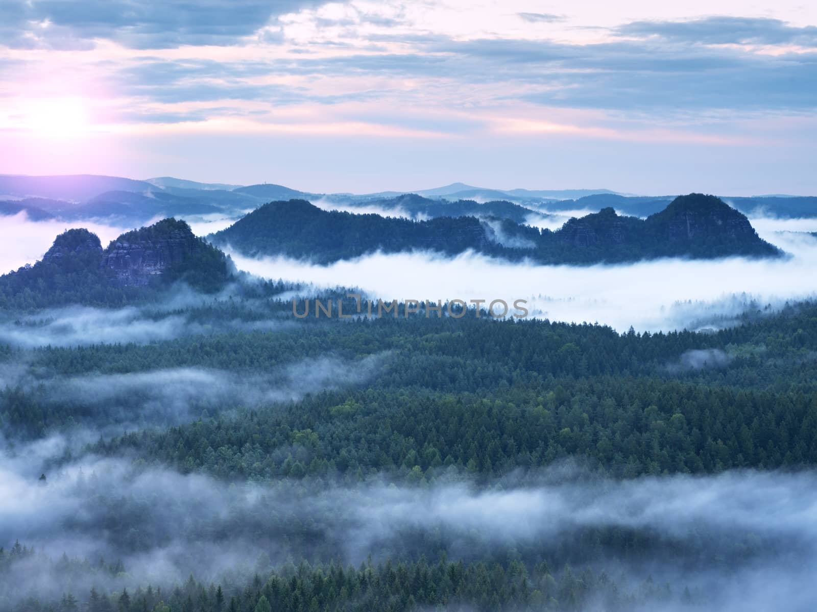 Fairy daybreak in a beautiful hills. Peaks of hills are sticking out from foggy background, the fog is yellow and orange due to sun rays. The fog is swinging between trees.