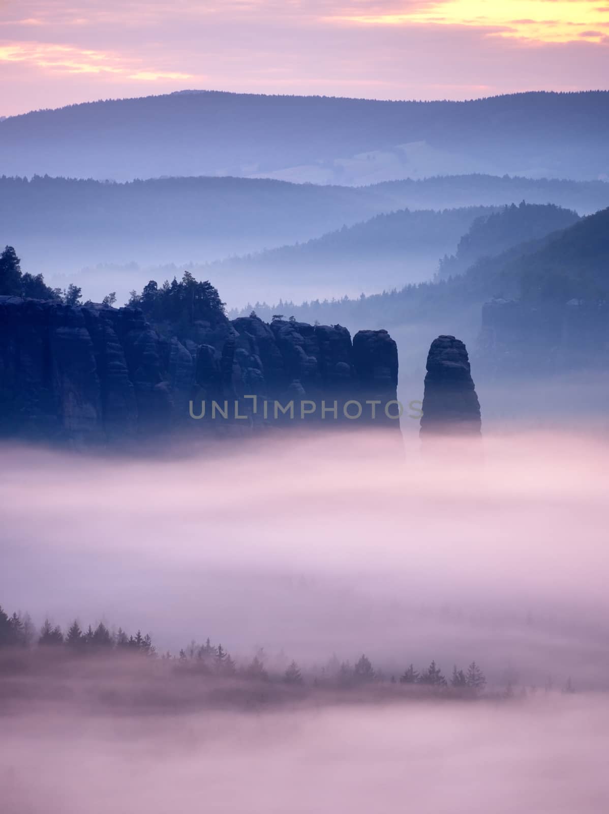 Pink misty mountains. Sharp rocks cut creamy fog to strips. Long deep valley full of fresh spring mist. Dreamy landscape within daybreak after rainy night