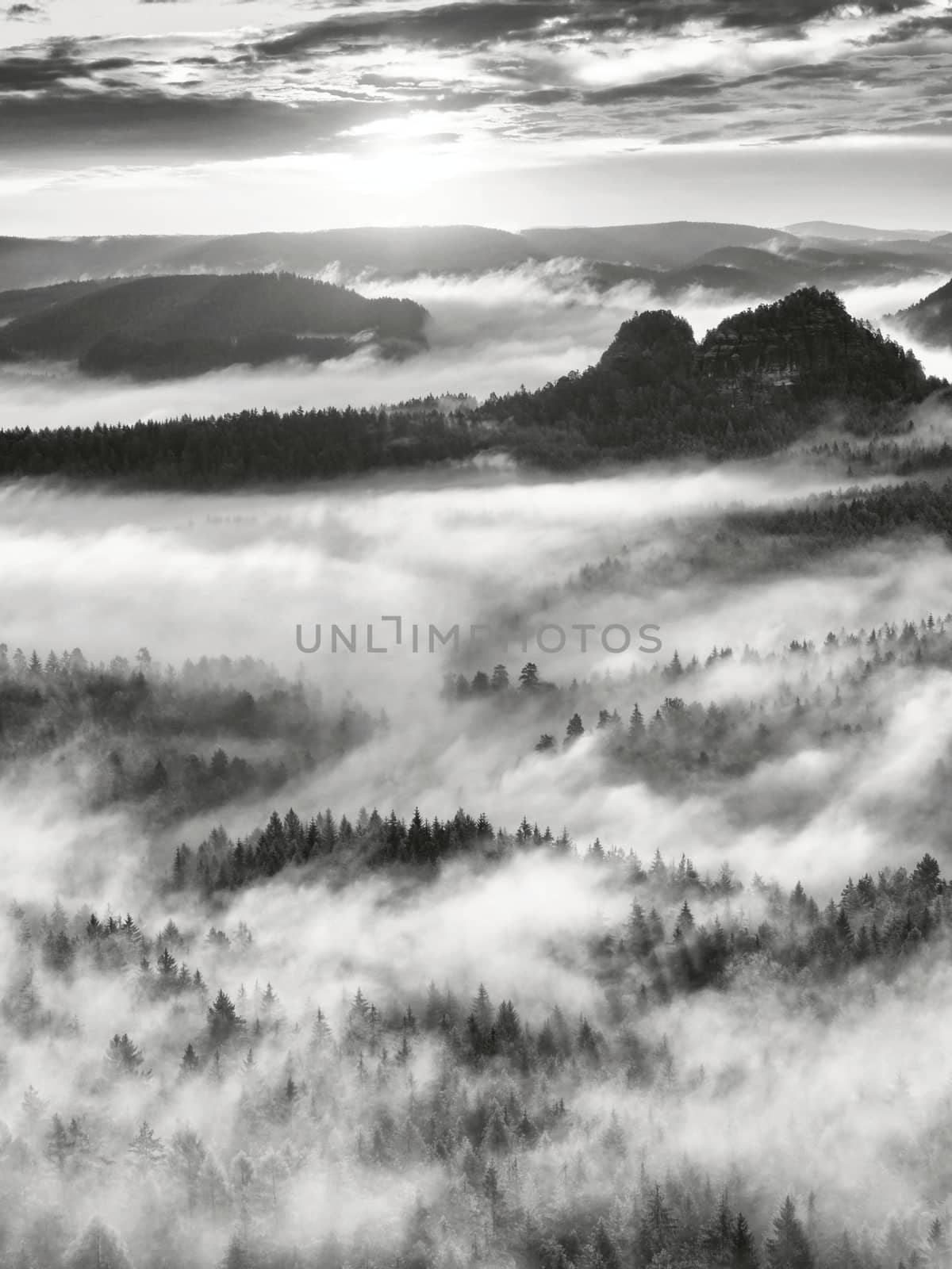 Black and white photo. Misty daybreak in a beautiful hills. Peaks of hills are sticking out from foggy background.