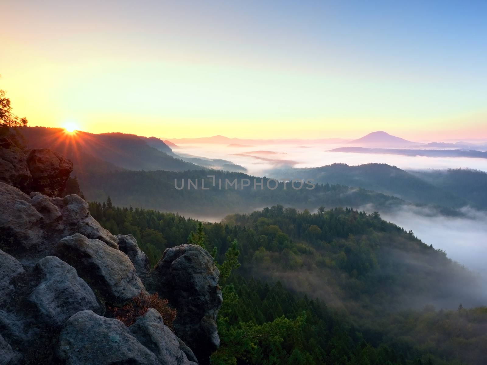 Autumn sunrise above above forest,  fall colorful valley full of dense mist colored with hot sun rays. Foggy strips between treetops between hills.