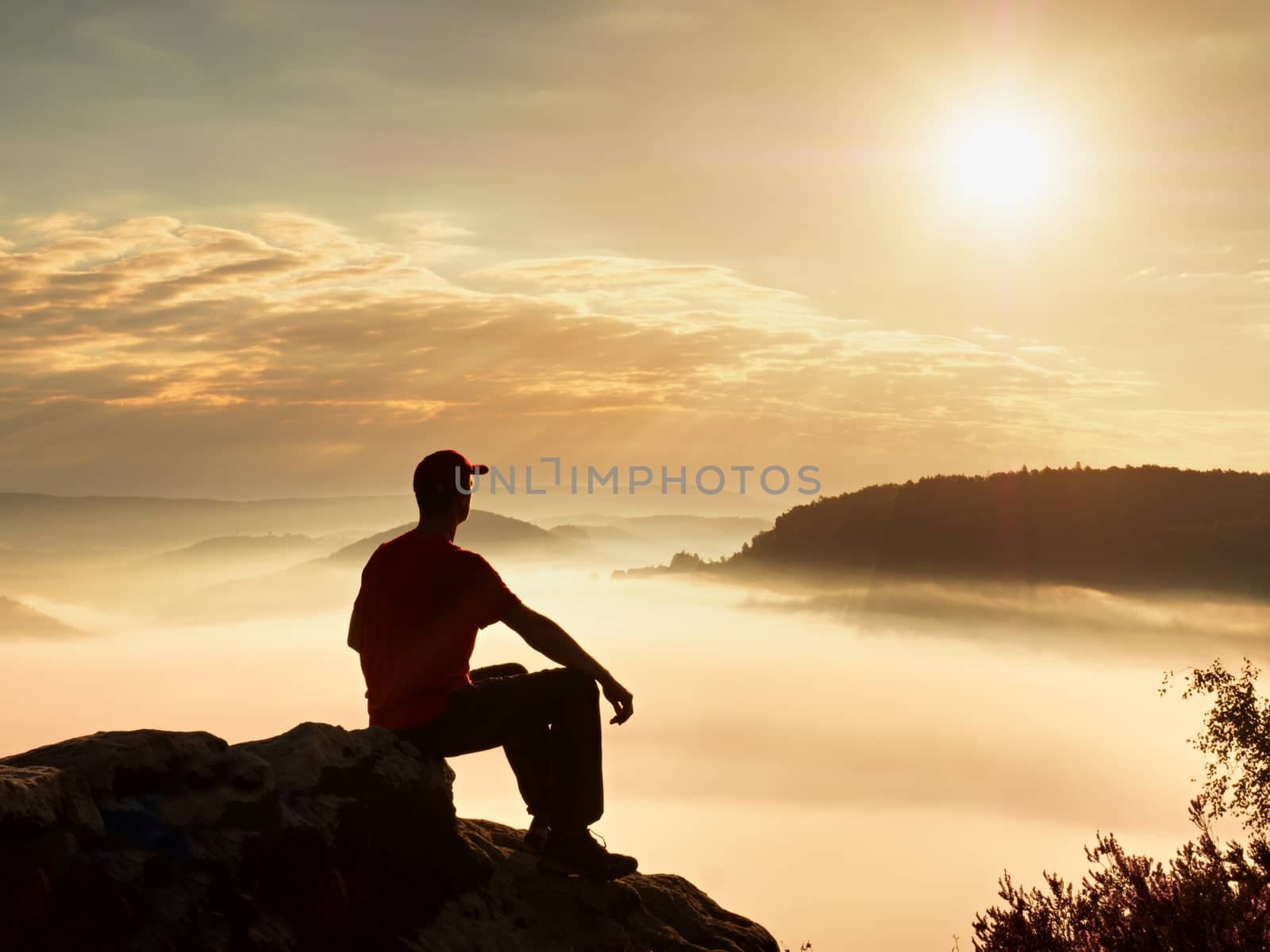 Man tourist  sit on rock empire. View point with heather and branches  above misty valley. Sunny daybreak in rocky mountains.