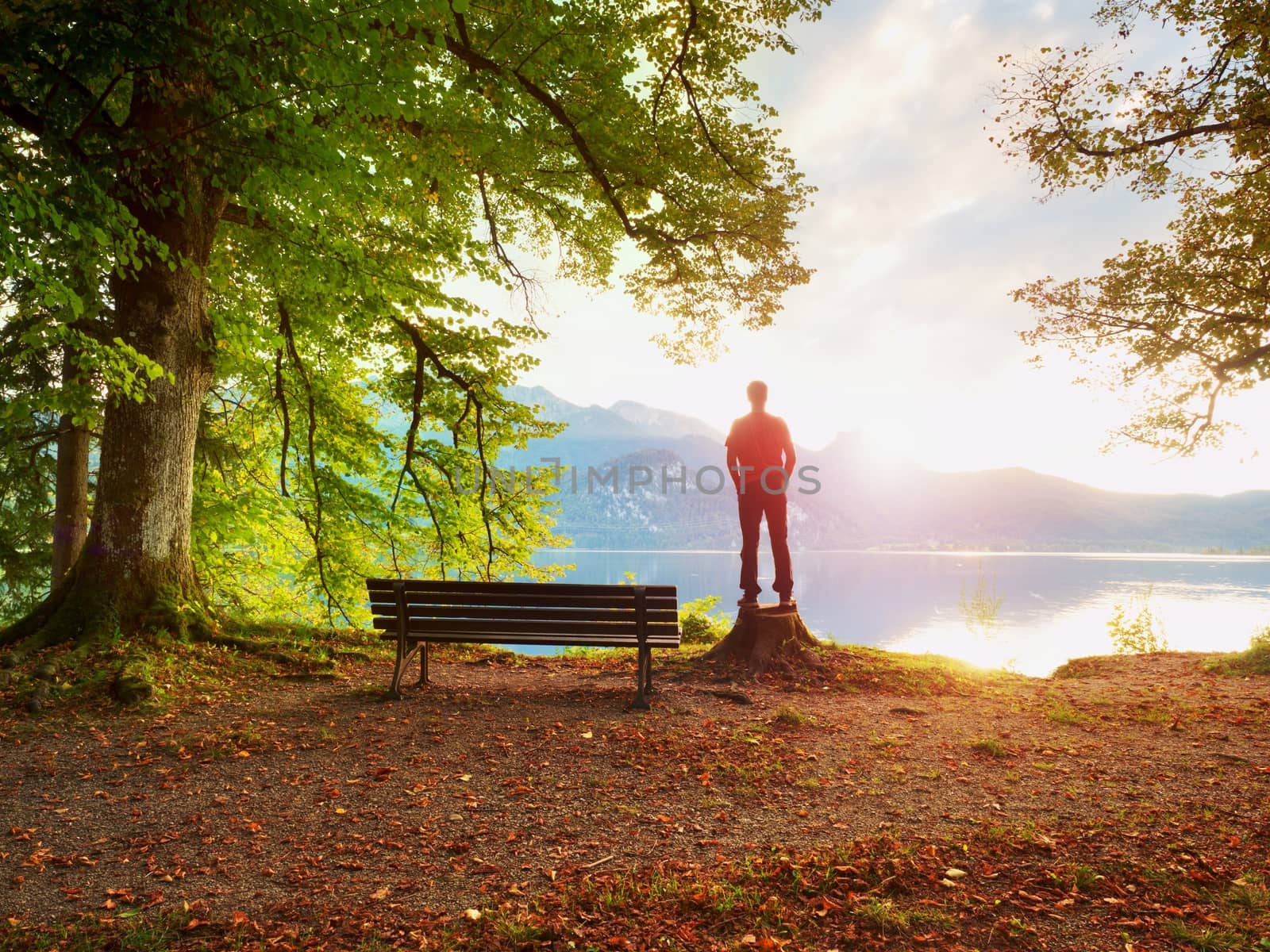 Man in red jacket and black trousers stand on tree stump. Empty wooden bench at mountain lake. Bank under beeches tree, mountains at horizon and in water mirror. Vintage toned photo.
