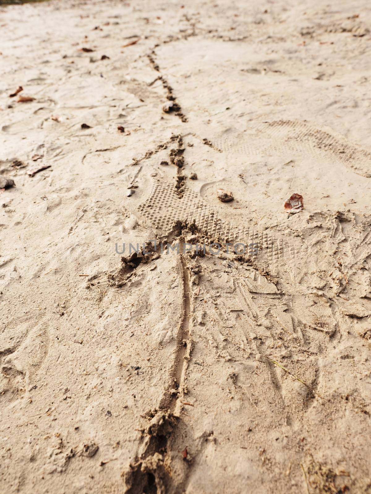 Children drawing of arrow in sand on beach of bay. Funny game with following of drawing direction. 