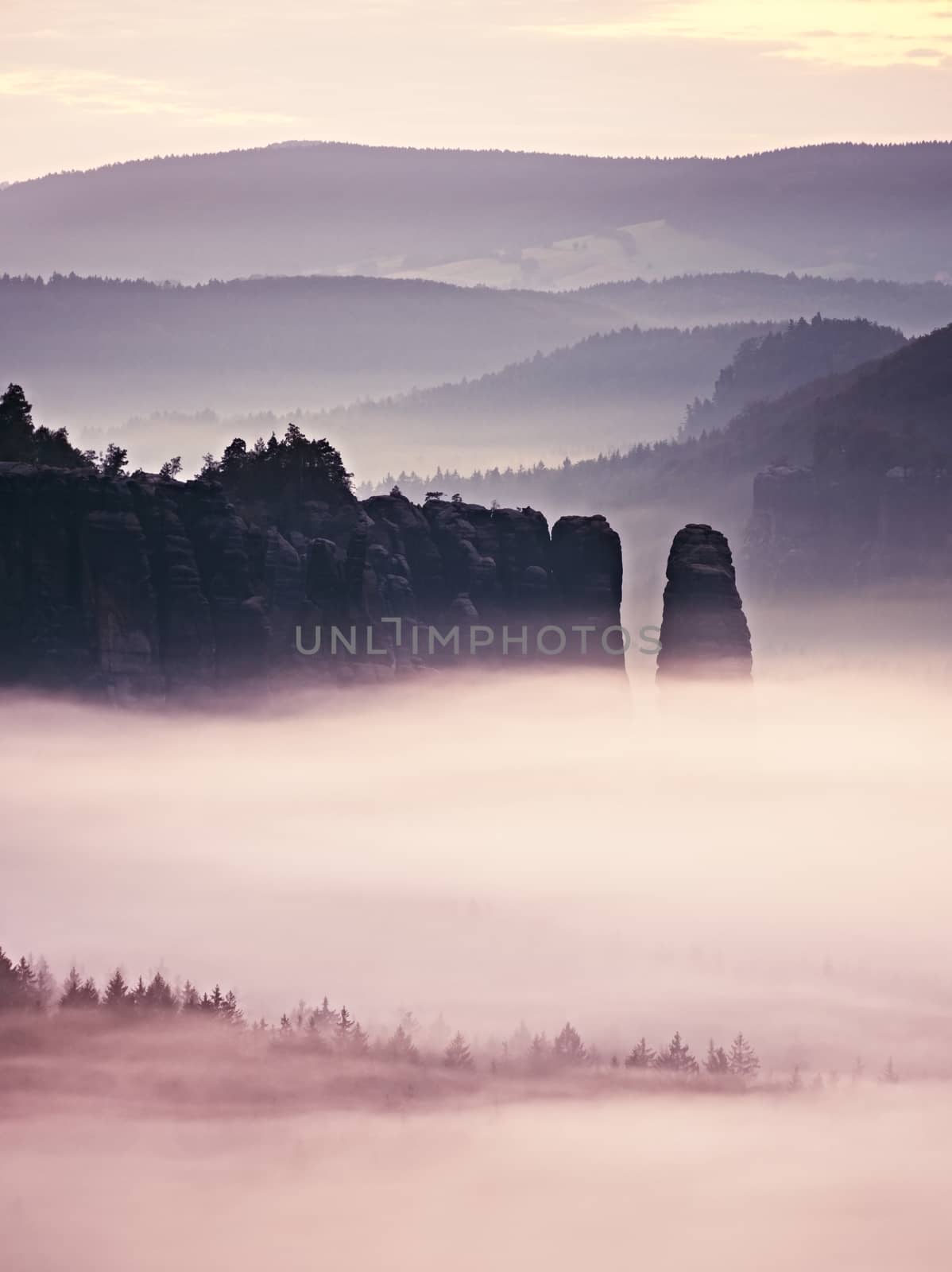 Dreamy misty forest landscape. Majestic peaks of rocks cut lighting mist. Deep valley is full of colorful fog and rocky hills are sticking up to Sun.