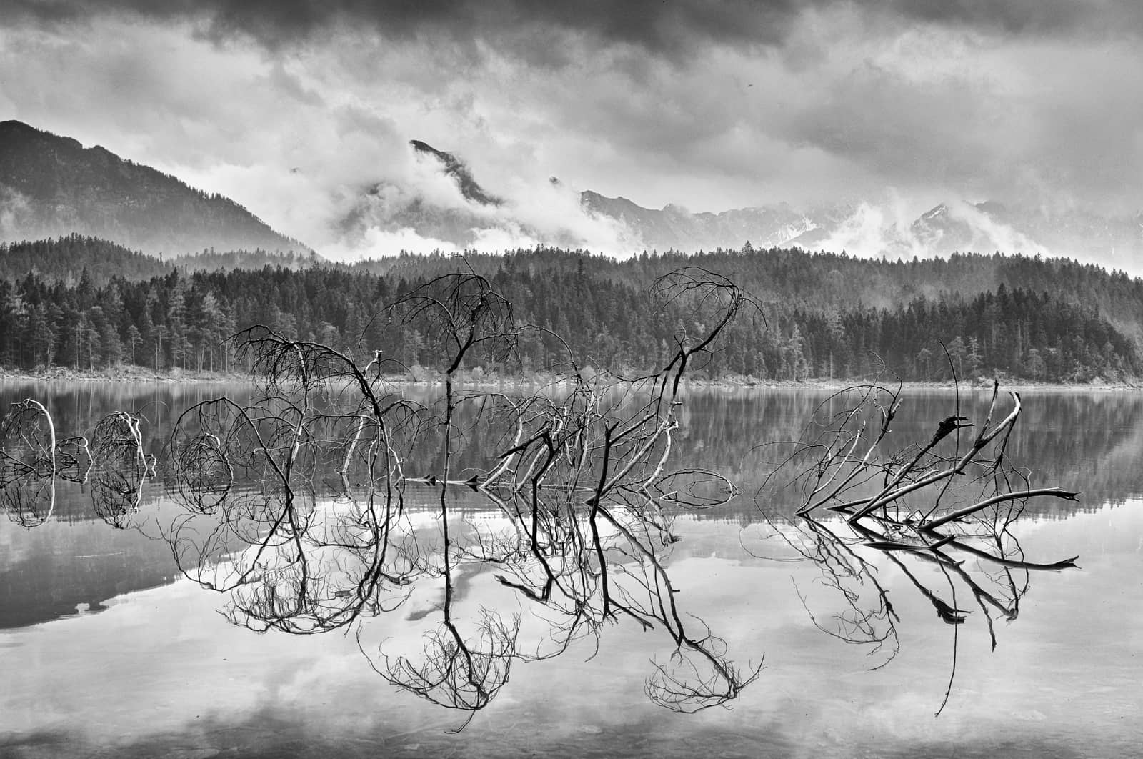 Branch of fallen tree sticking out from blue water of mountain lake,  mountains in background. Evening after rainy day. Vignetting effect. Poor lighting conditions.