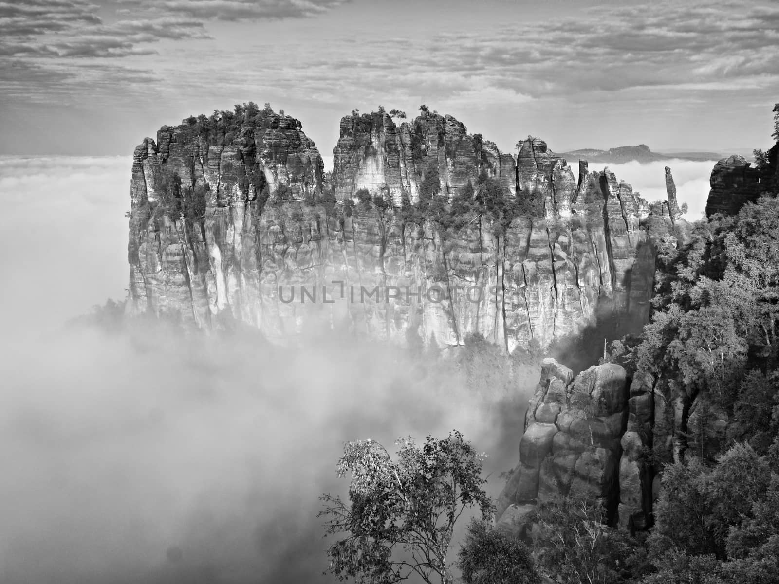 Misty valley, sharp rocks gentle cut creamy fog to strips. Long deep valley full of fresh spring mist. Dreamy landscape 