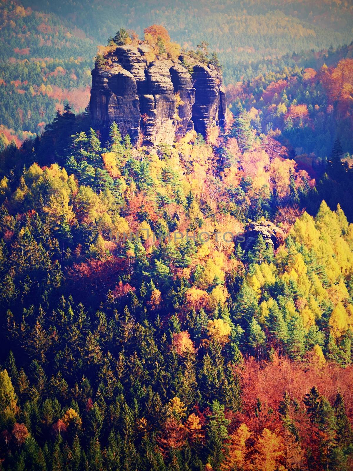 Cold morning in autumnal nature at beginning of November. Colorful fall morning with golden, orange and green trees in deep vlley of national park.